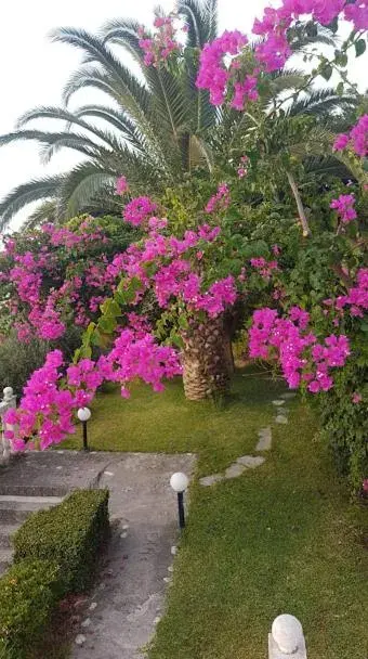 Ilaira Apartments Ilaira Apartments