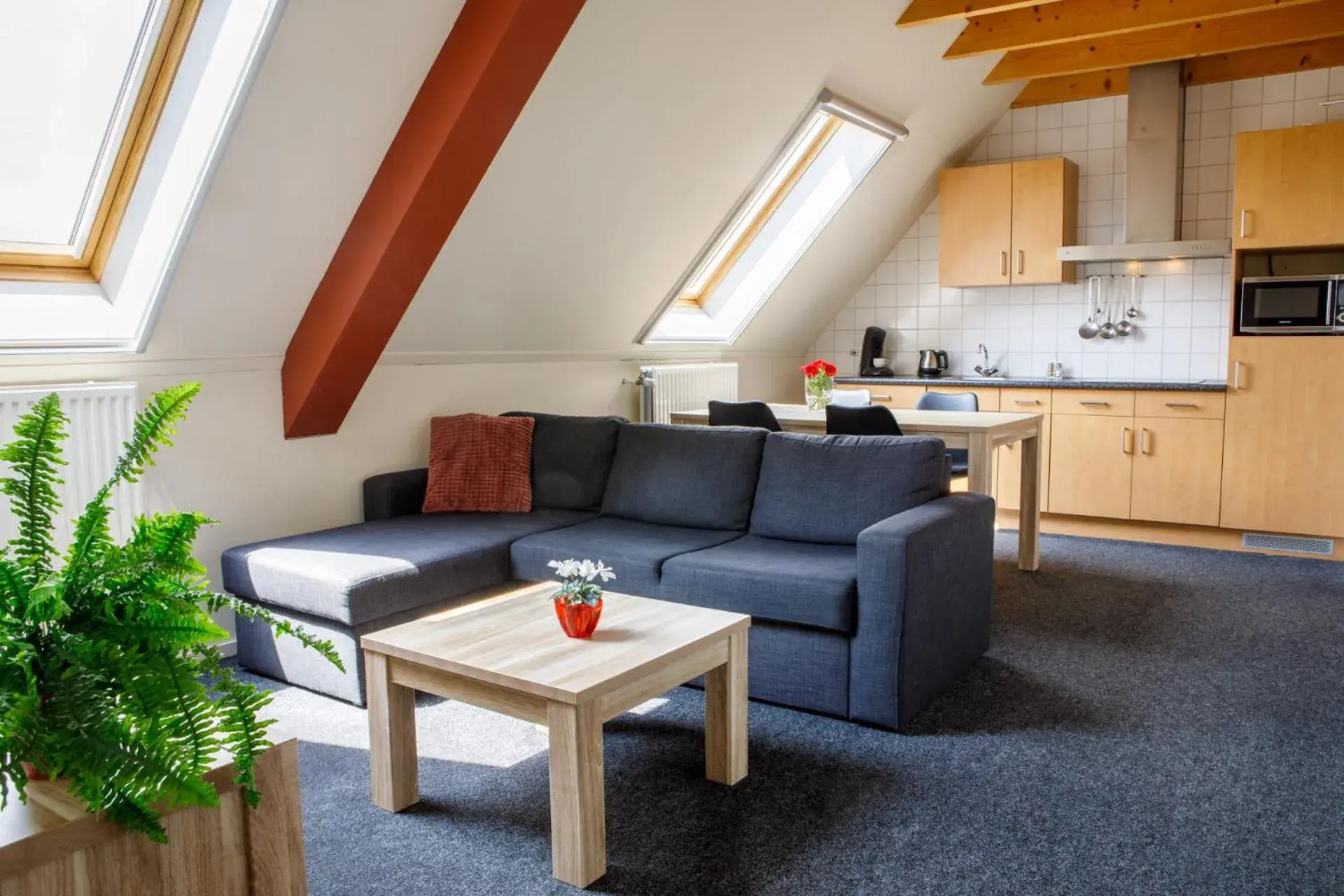 Studio - single occupancy in Het Groene Wout Studio - single occupancy in Het Groene Wout