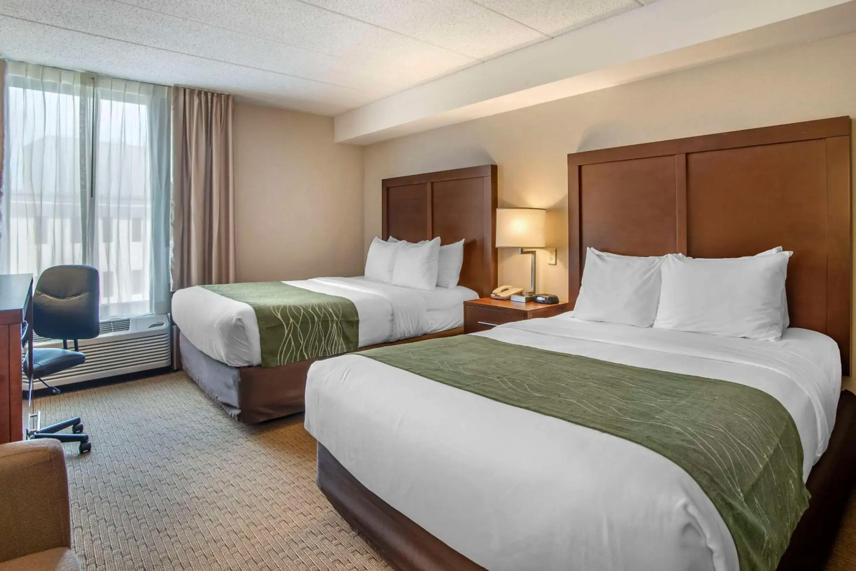 Queen Room with Two Queen Beds - Non-Smoking in Comfort Inn Shady Grove - Gaithersburg - Rockville Queen Room with Two Queen Beds - Non-Smoking in Comfort Inn Shady Grove - Gaithersburg - Rockville