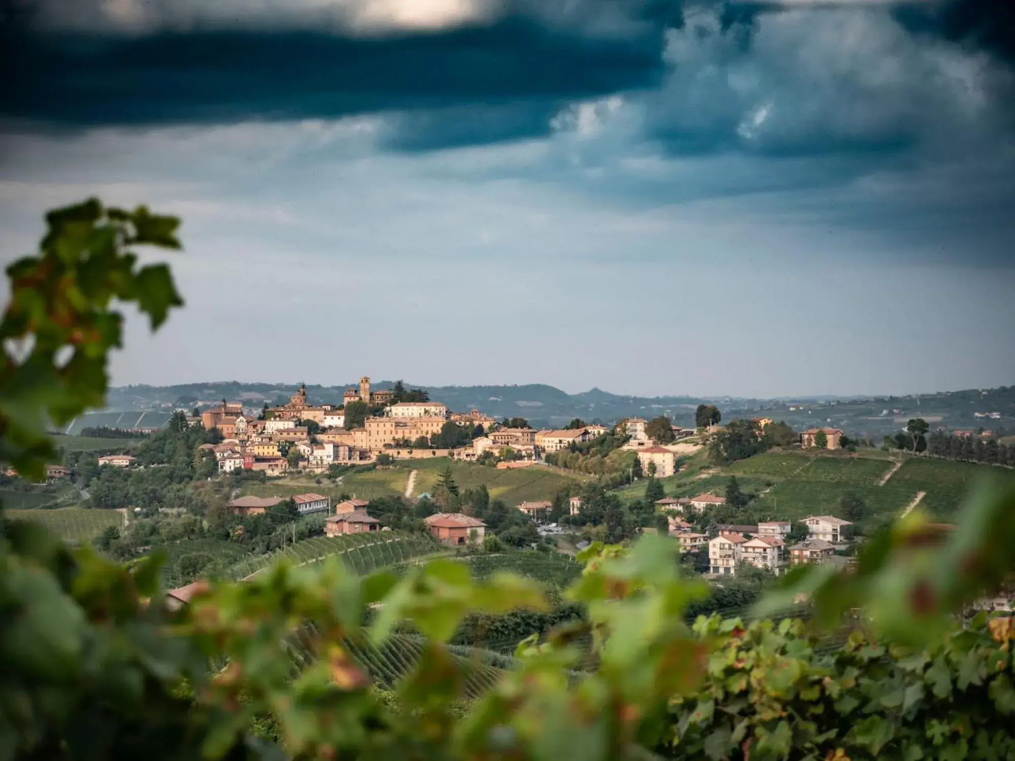 I Quattro Grappoli I Quattro Grappoli