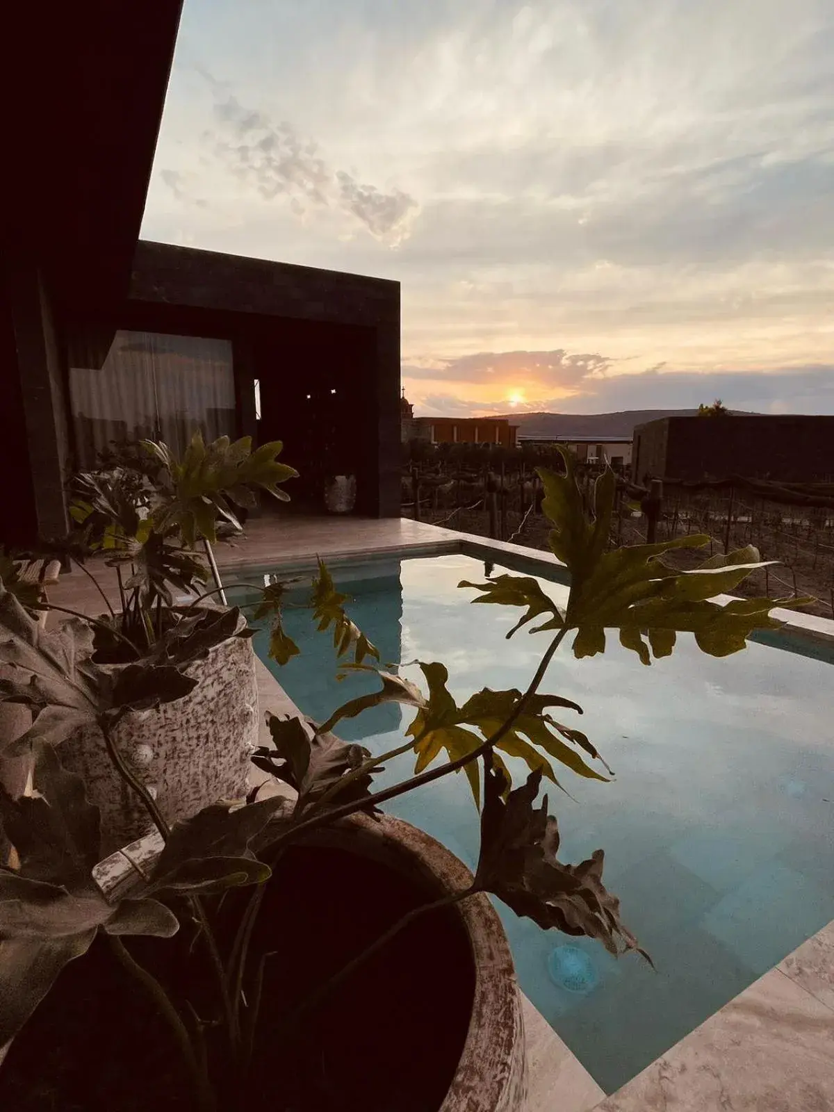 Deluxe Junior Suite in Casa Raíces Hotel Luxury & Viñedo Deluxe Junior Suite in Casa Raíces Hotel Luxury & Viñedo