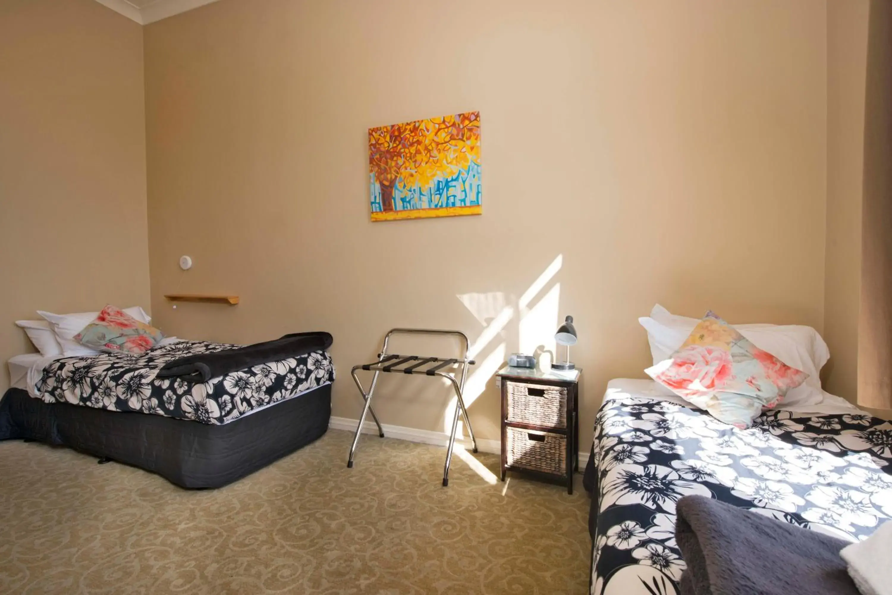 Twin Room with Private Bathroom in The Prince Albert Backpackers & Bar Twin Room with Private Bathroom in The Prince Albert Backpackers & Bar