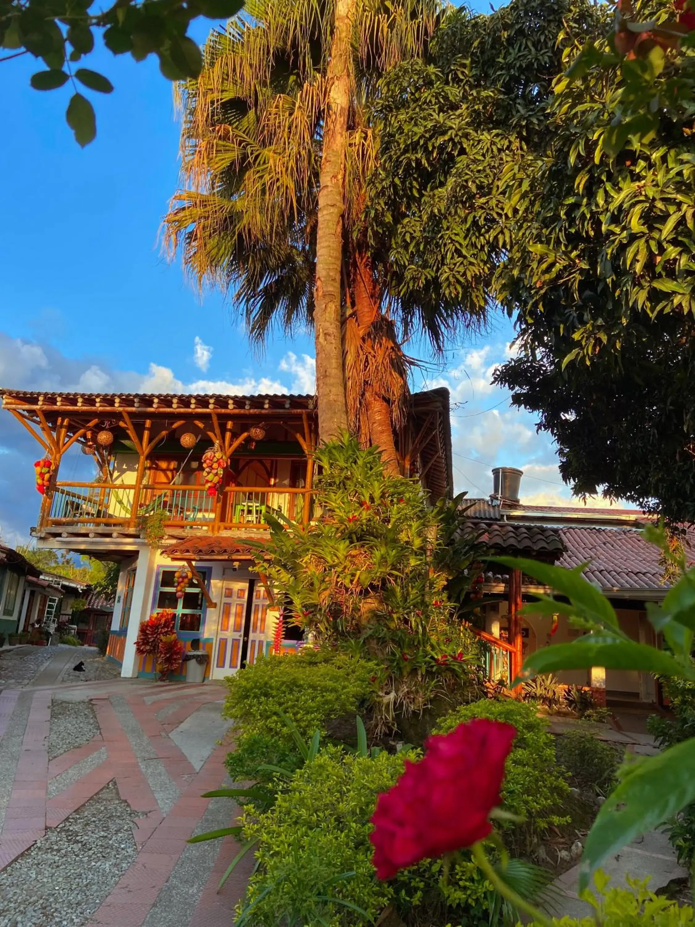 Eco Hotel las Palmas Eco Hotel las Palmas