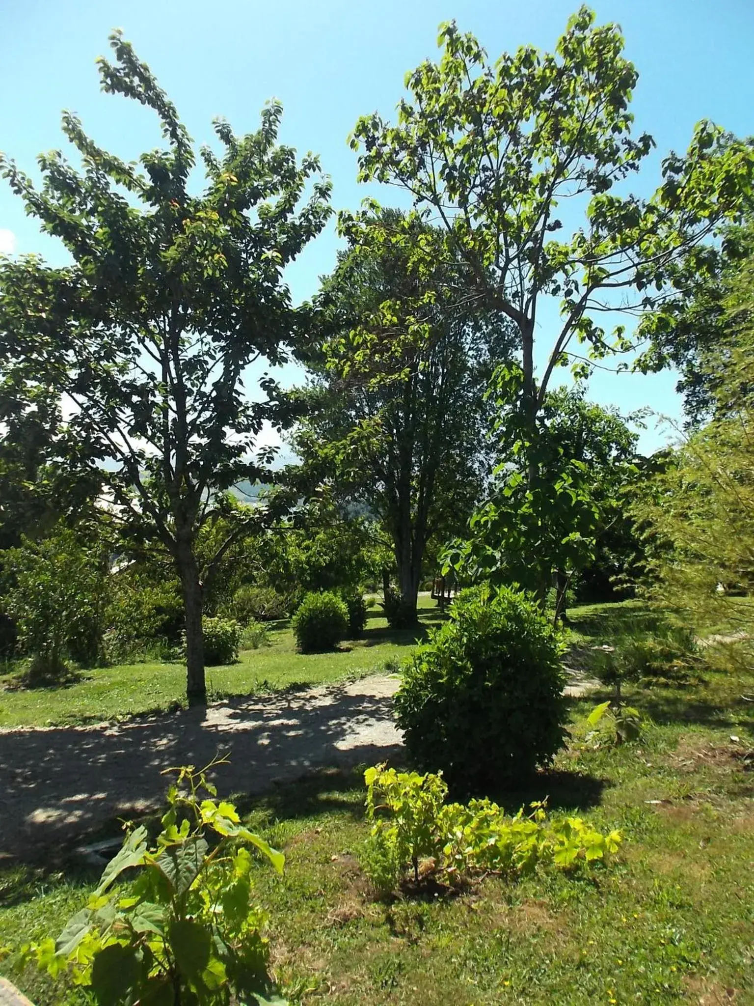 Suite with Garden View in Apart hotel Puchaley Lafquen Suite with Garden View in Apart hotel Puchaley Lafquen