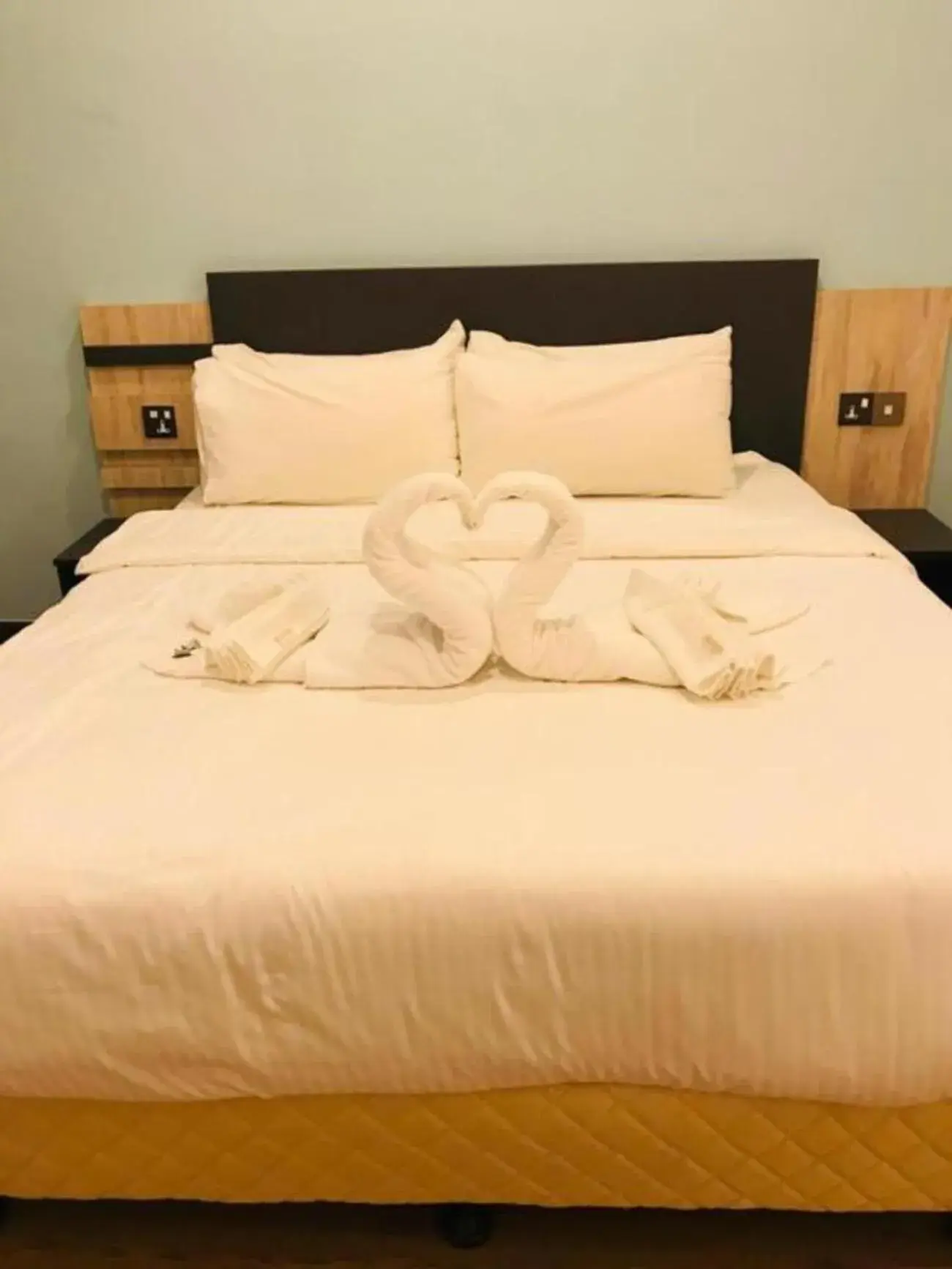 Economy Double Room in TT Dorf Hotel Taiping Economy Double Room in TT Dorf Hotel Taiping