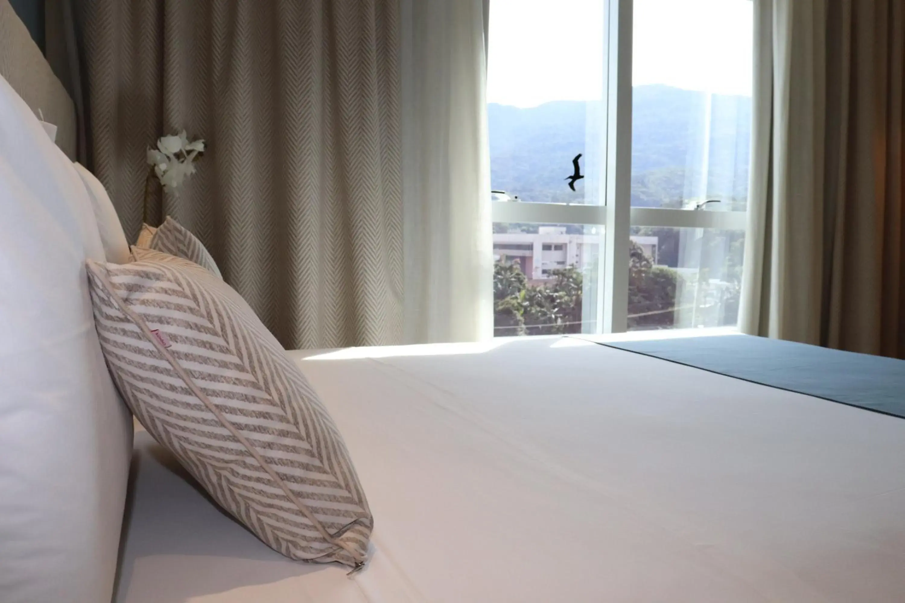 Deluxe Room - single occupancy in Kayrós Business Hotel Deluxe Room - single occupancy in Kayrós Business Hotel