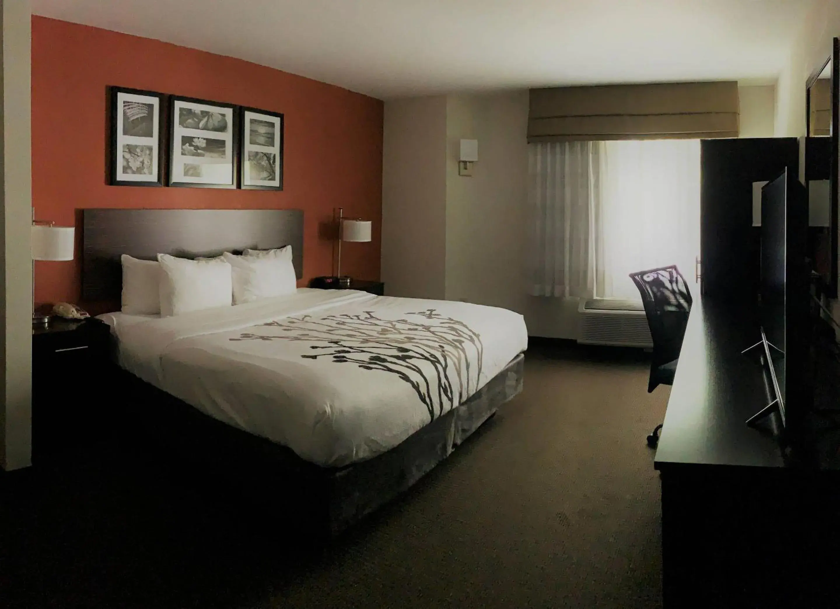 King Room with Roll-In Shower - Accessible/Non-Smoking in Sleep Inn Phoenix North I-17 King Room with Roll-In Shower - Accessible/Non-Smoking in Sleep Inn Phoenix North I-17