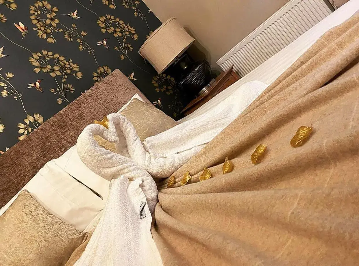 Superior King Room - single occupancy in Tredegar Arms Hotel Superior King Room - single occupancy in Tredegar Arms Hotel