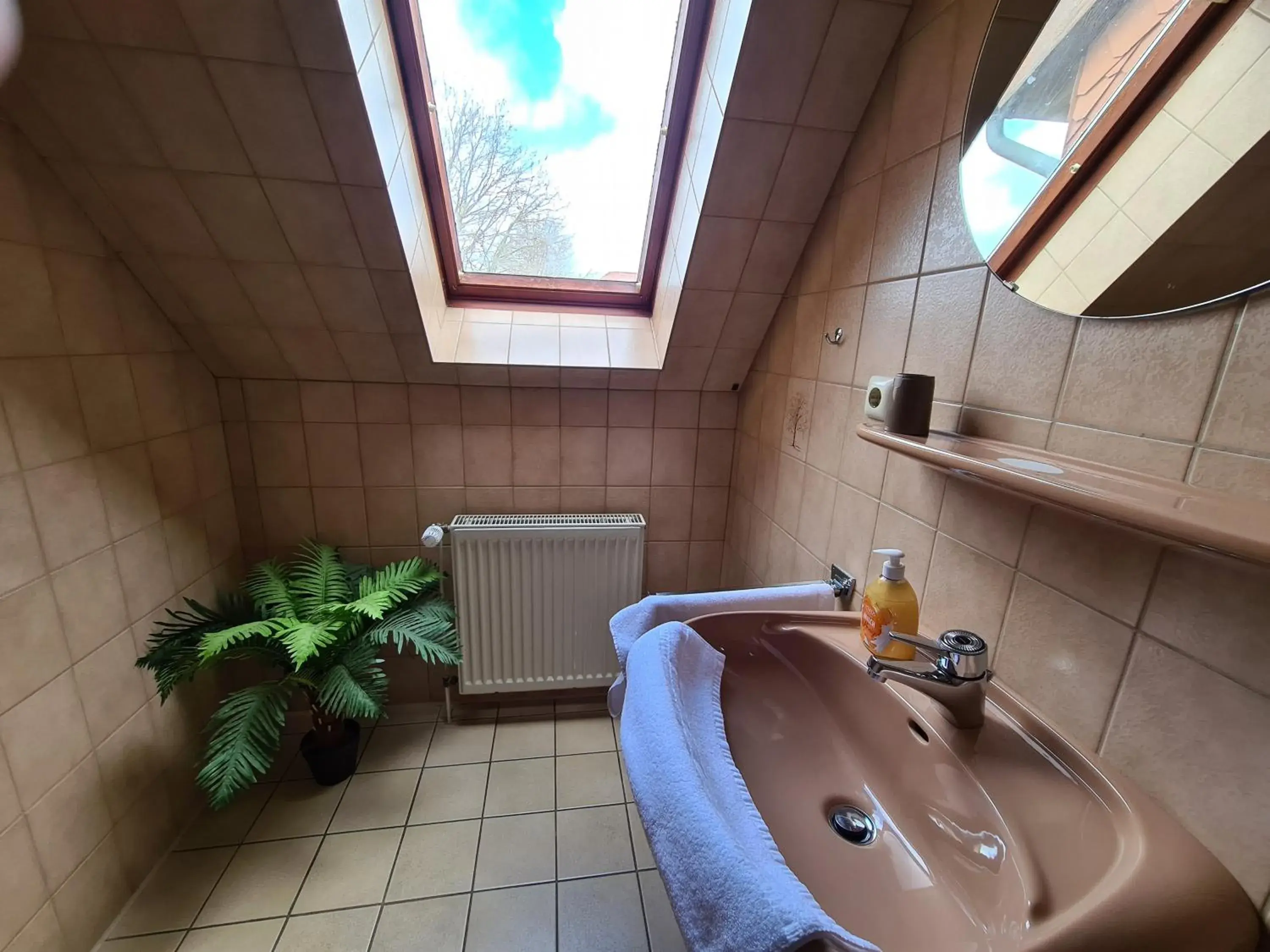 Single Room - single occupancy in Hotel Ceteno Single Room - single occupancy in Hotel Ceteno