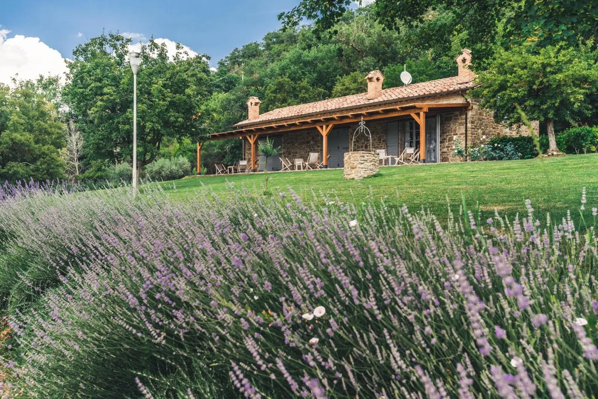 Studio - Split Level in Nikis Resort Studio - Split Level in Nikis Resort