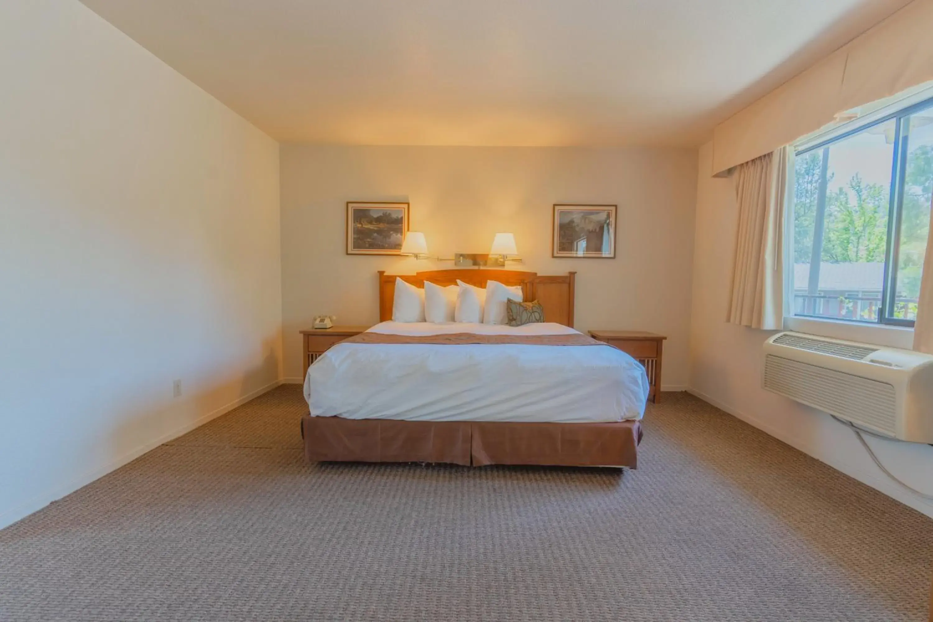 King Room - single occupancy in Mariposa Lodge King Room - single occupancy in Mariposa Lodge