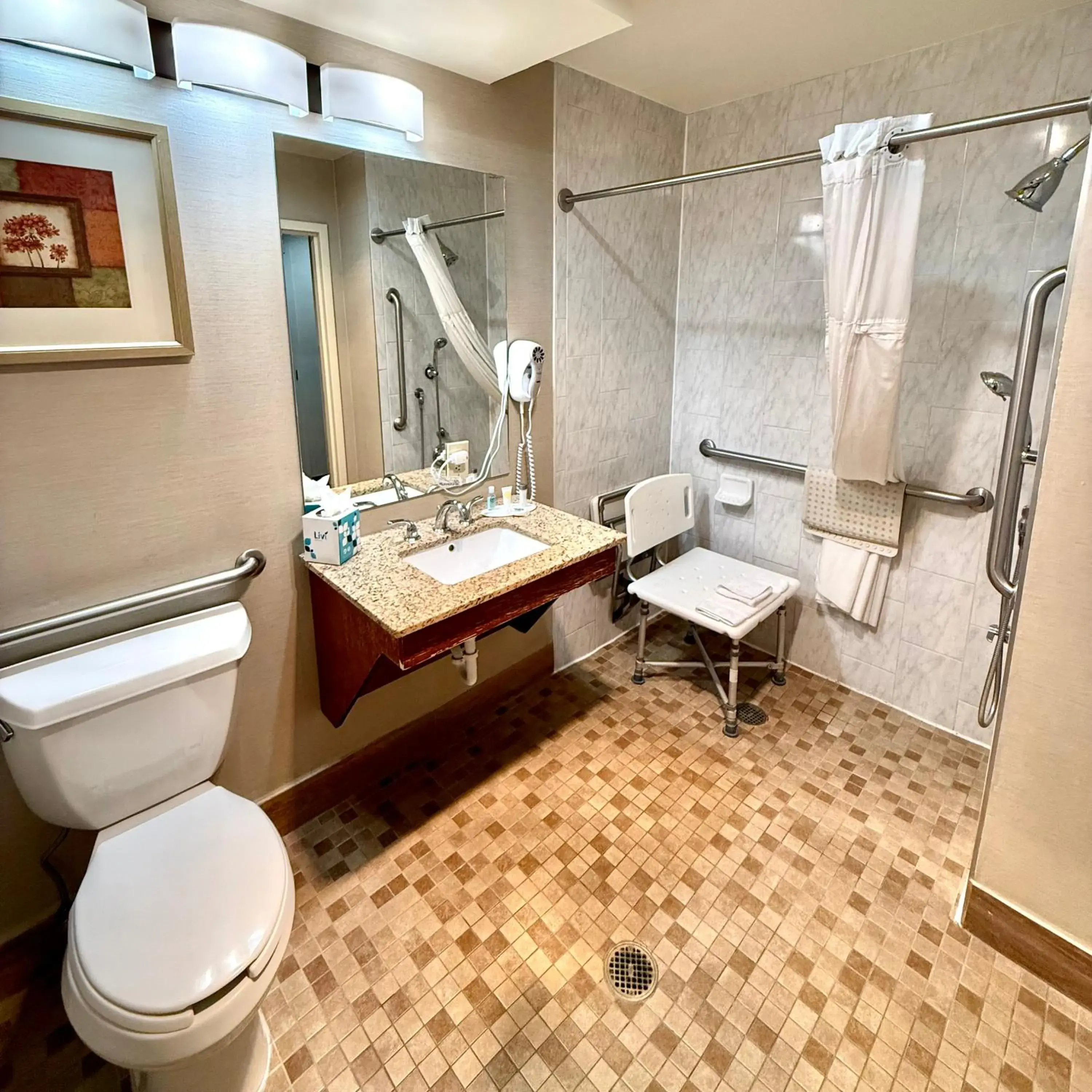 King Room - Disability Access/Non-Smoking in Ramada by Wyndham Denver International Airport King Room - Disability Access/Non-Smoking in Ramada by Wyndham Denver International Airport