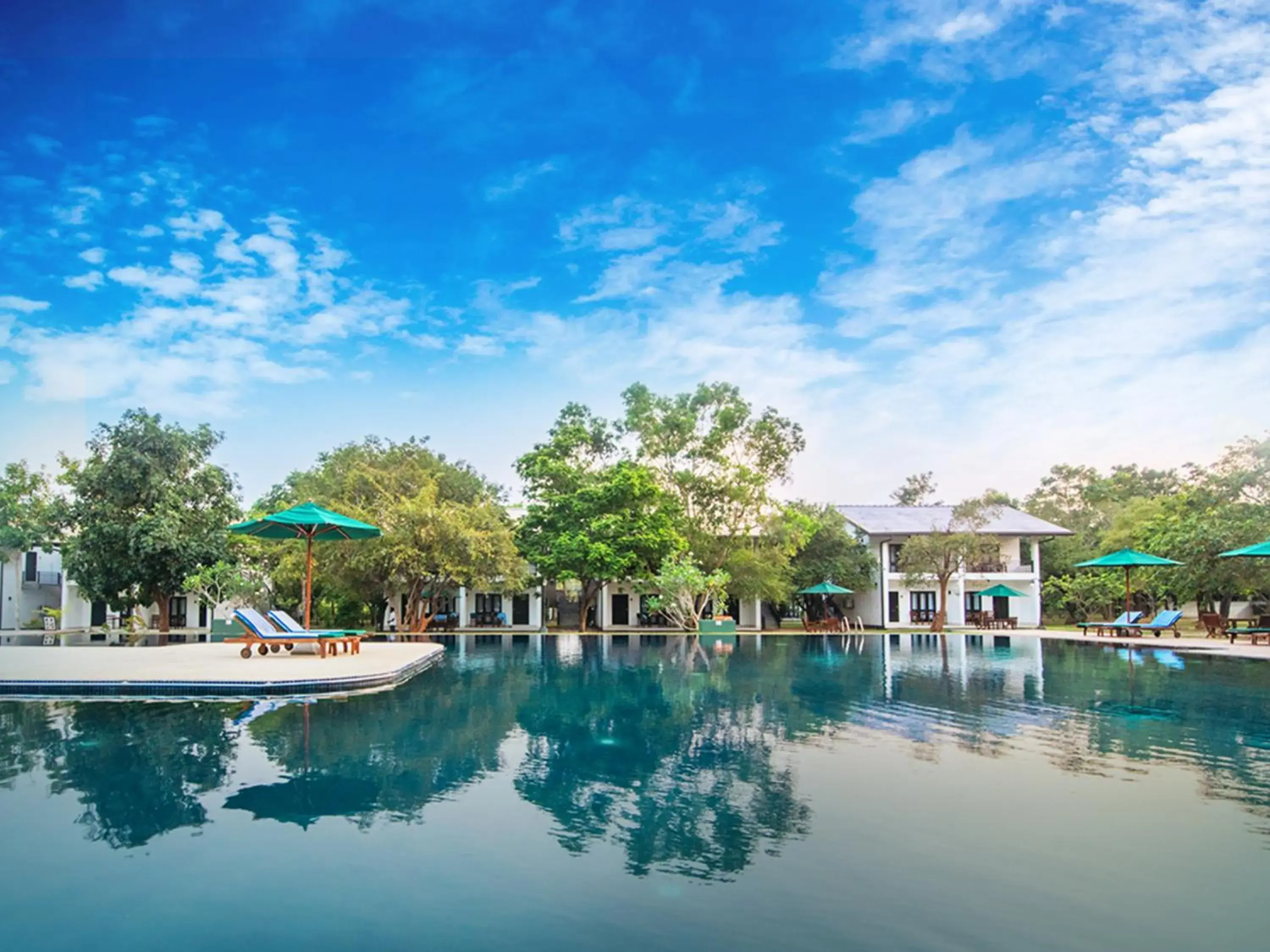 Oak Ray Elephant Lake Oak Ray Elephant Lake