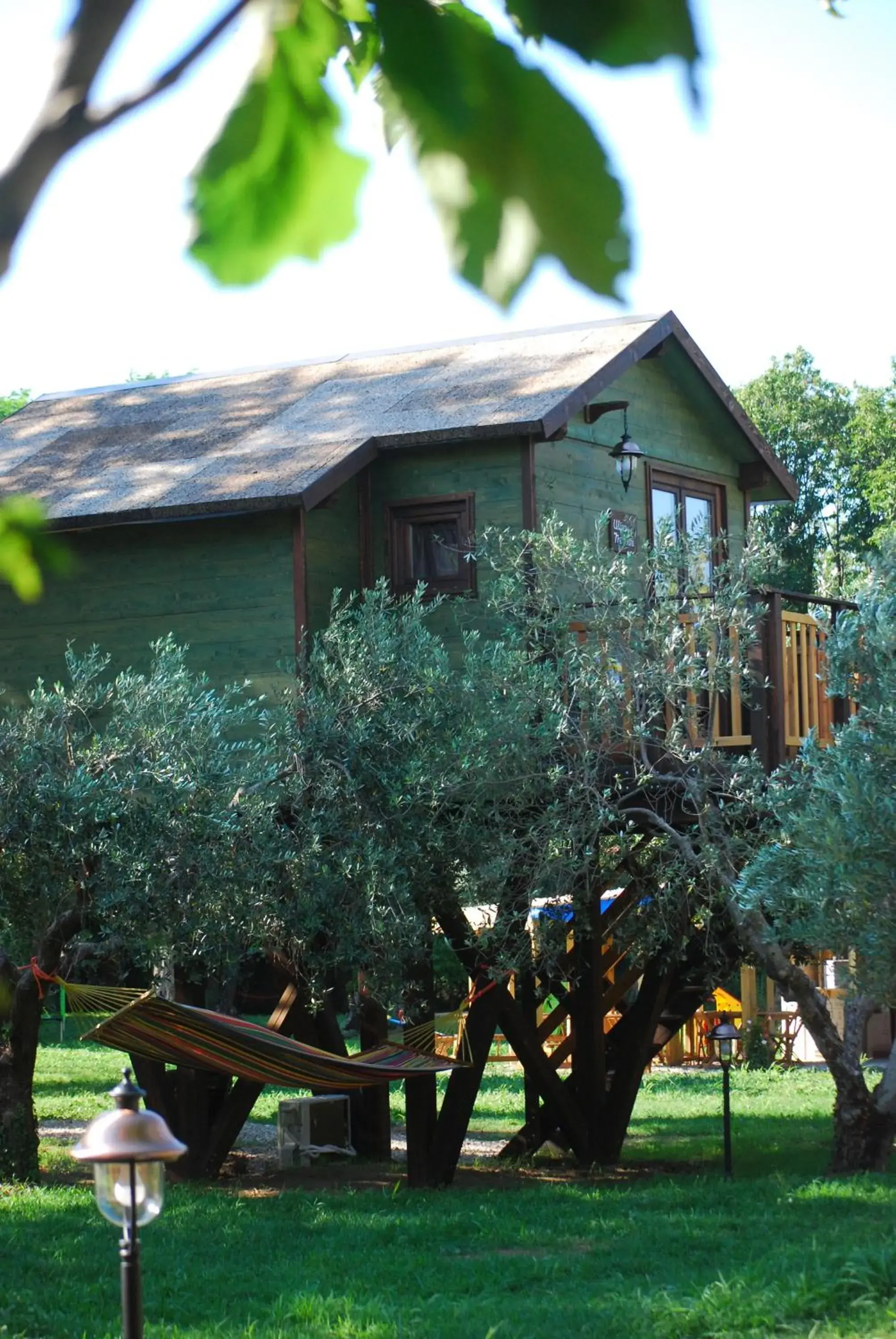 Olive Tree House - single occupancy in Palazzo Conforti Tree House Resort Olive Tree House - single occupancy in Palazzo Conforti Tree House Resort