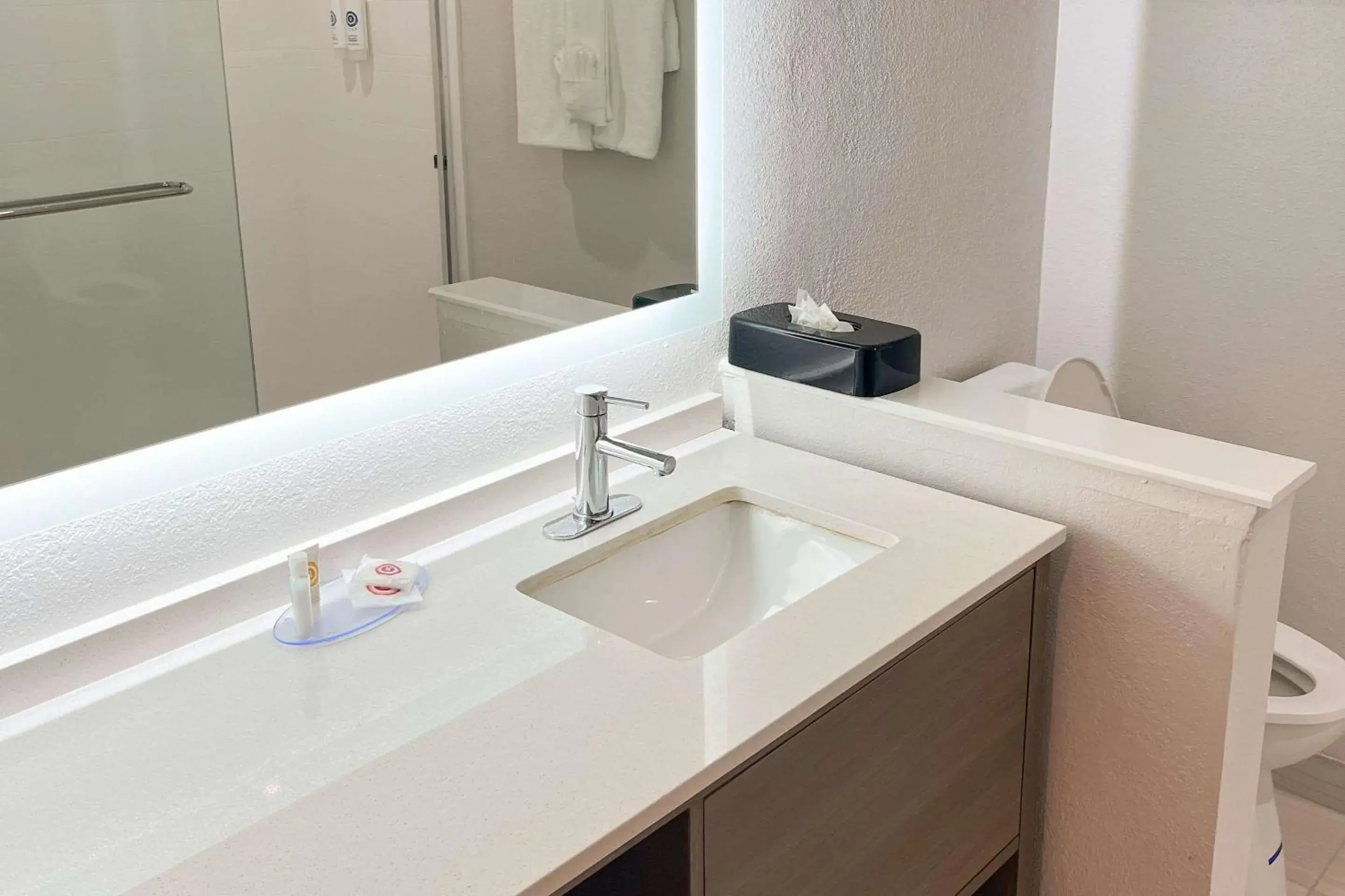 Standard Queen Suite - Non-Smoking in Comfort Suites Clearwater - Dunedin Standard Queen Suite - Non-Smoking in Comfort Suites Clearwater - Dunedin