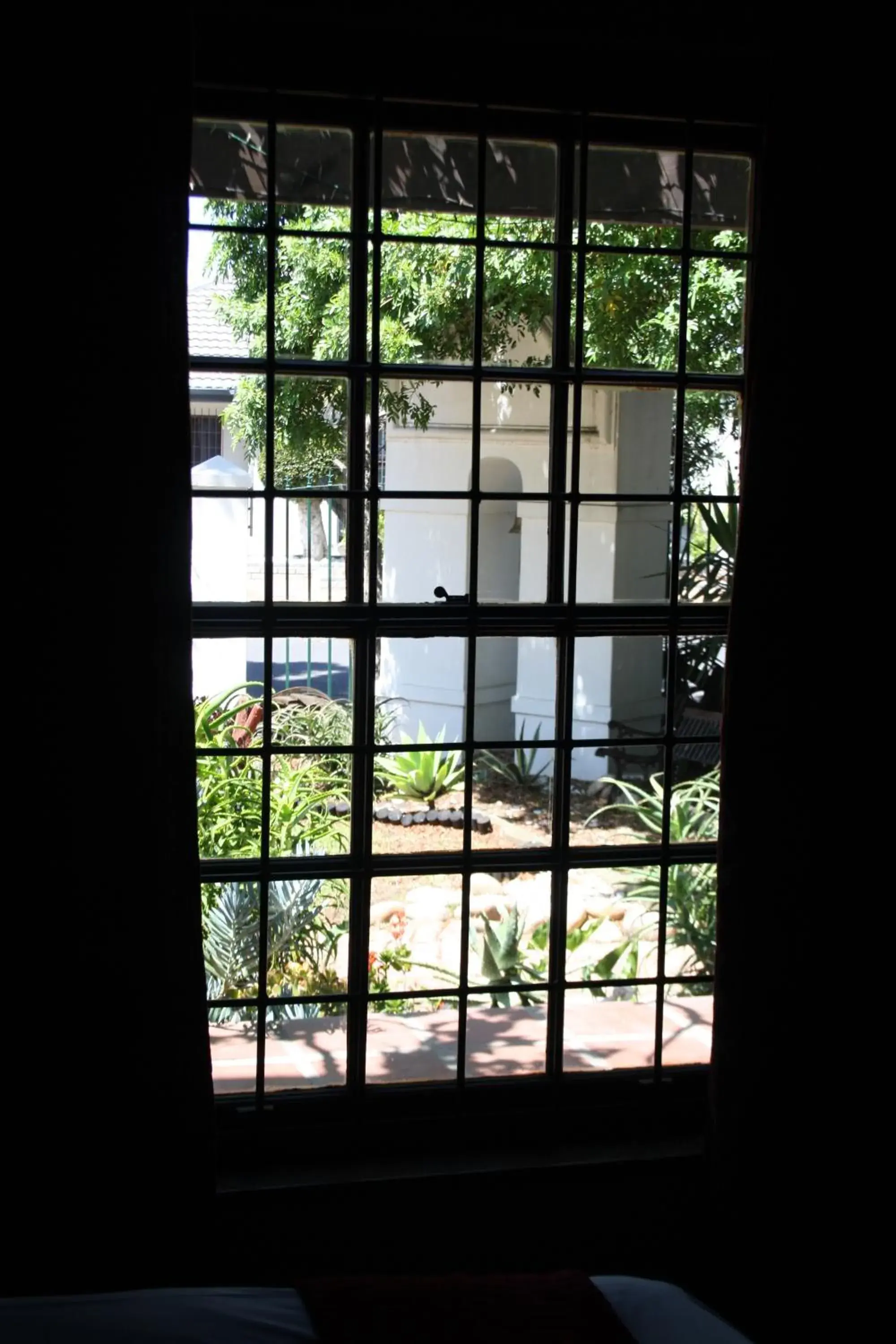 The Vinelands on Alpha Guest House The Vinelands on Alpha Guest House