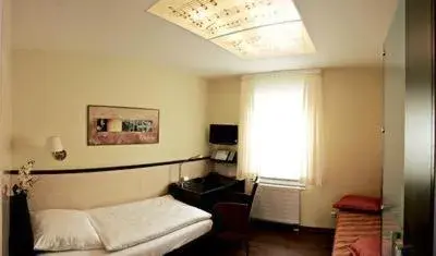 Themed Room in Hotel Am Braunen Hirsch Themed Room in Hotel Am Braunen Hirsch