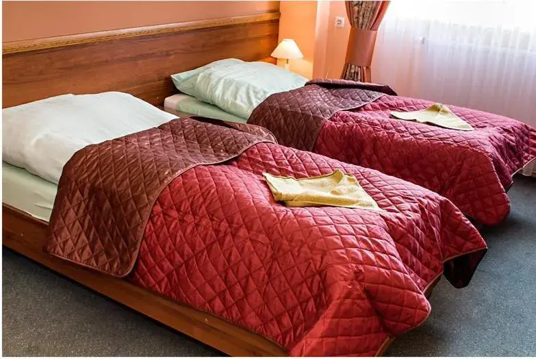 Small Twin Room in Hotel Sudety Small Twin Room in Hotel Sudety
