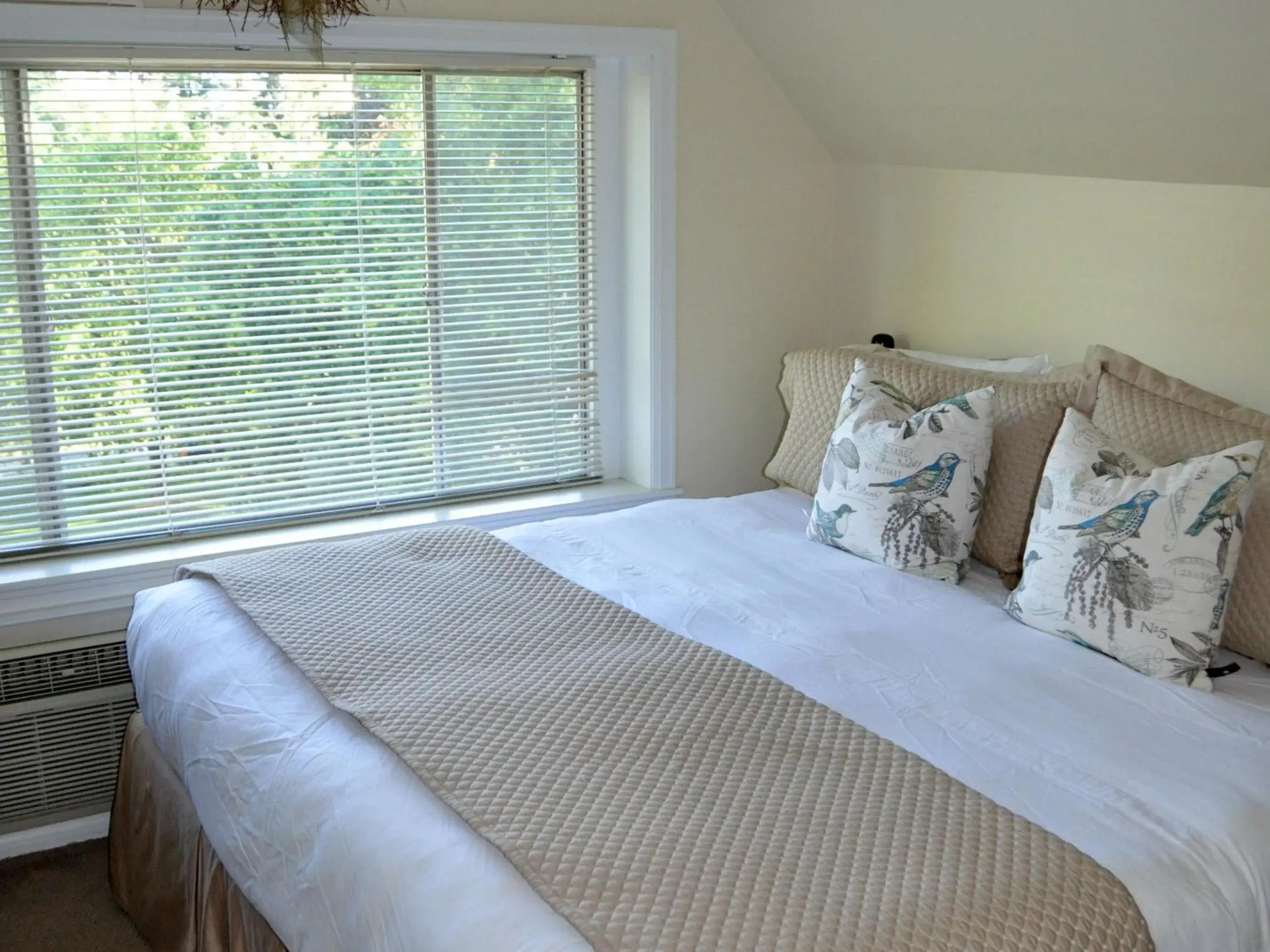 Superior Suite in Anne's Washington Inn Superior Suite in Anne's Washington Inn