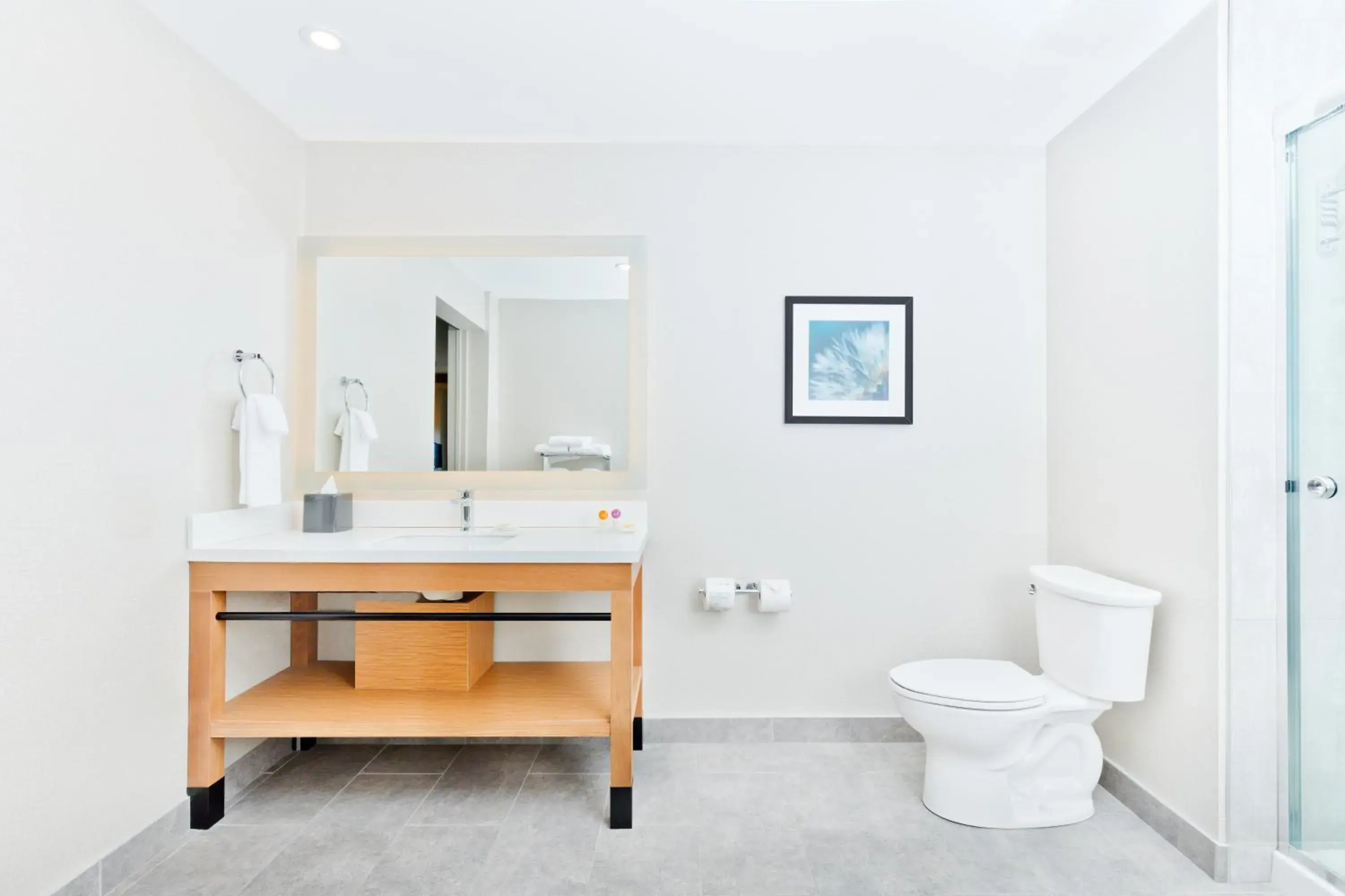 King Suite with Sofa Bed and Roll-In Shower - Disability Access in Hyatt Place Kelowna King Suite with Sofa Bed and Roll-In Shower - Disability Access in Hyatt Place Kelowna