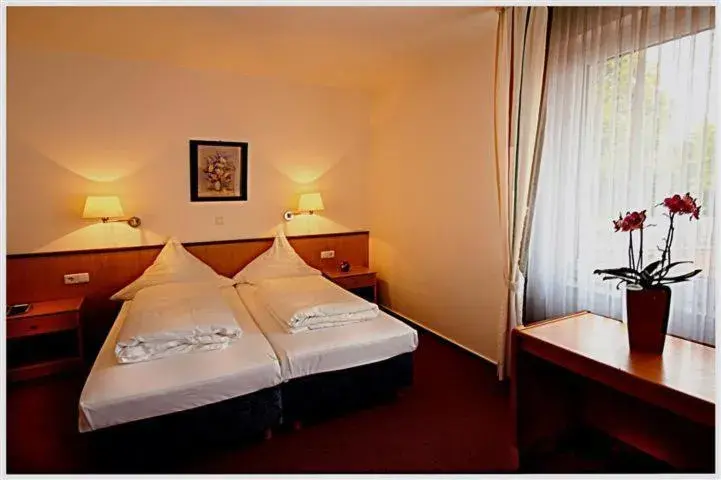 Double Room in Hotel Zur Linde Double Room in Hotel Zur Linde