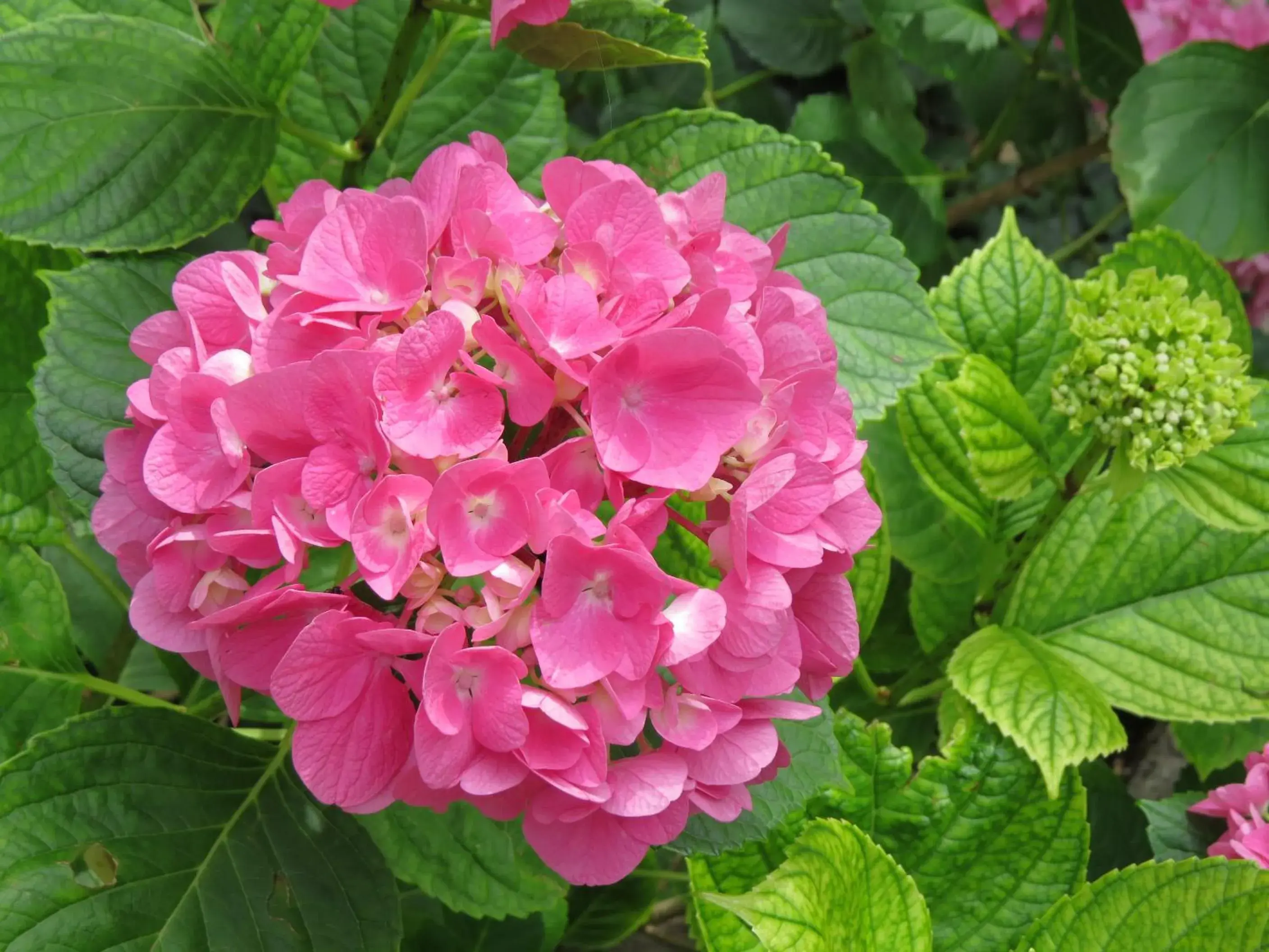Double Room in Chez Cécile et Mickaël Double Room in Chez Cécile et Mickaël