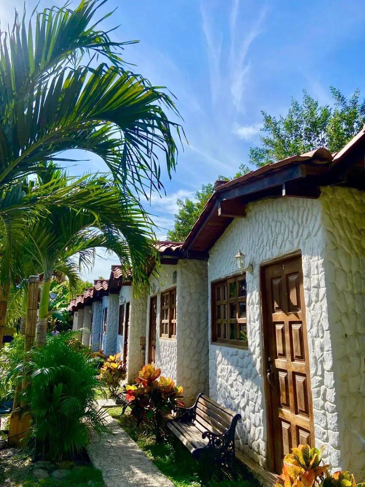 Bunk Bed in Mixed Dormitory Room in Palomino Sunrise Bunk Bed in Mixed Dormitory Room in Palomino Sunrise