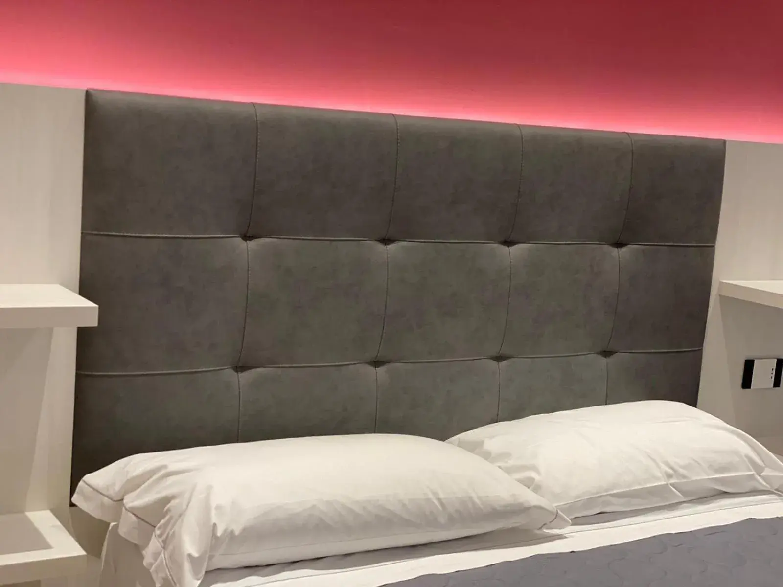 B&B Bertani B&B Bertani