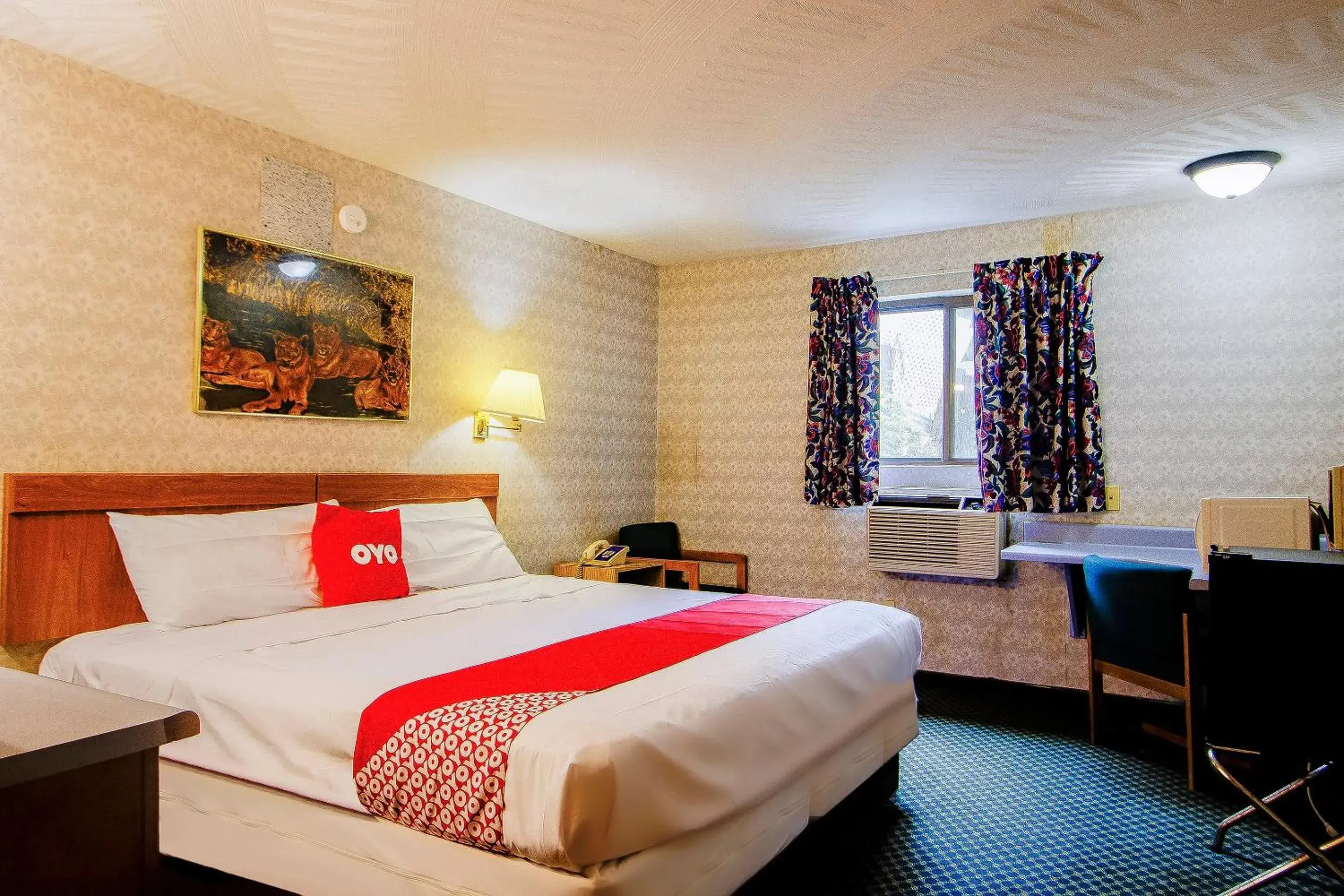 King Room in OYO Hotel Chapmanville Inn, WV - Hwy 119 King Room in OYO Hotel Chapmanville Inn, WV - Hwy 119