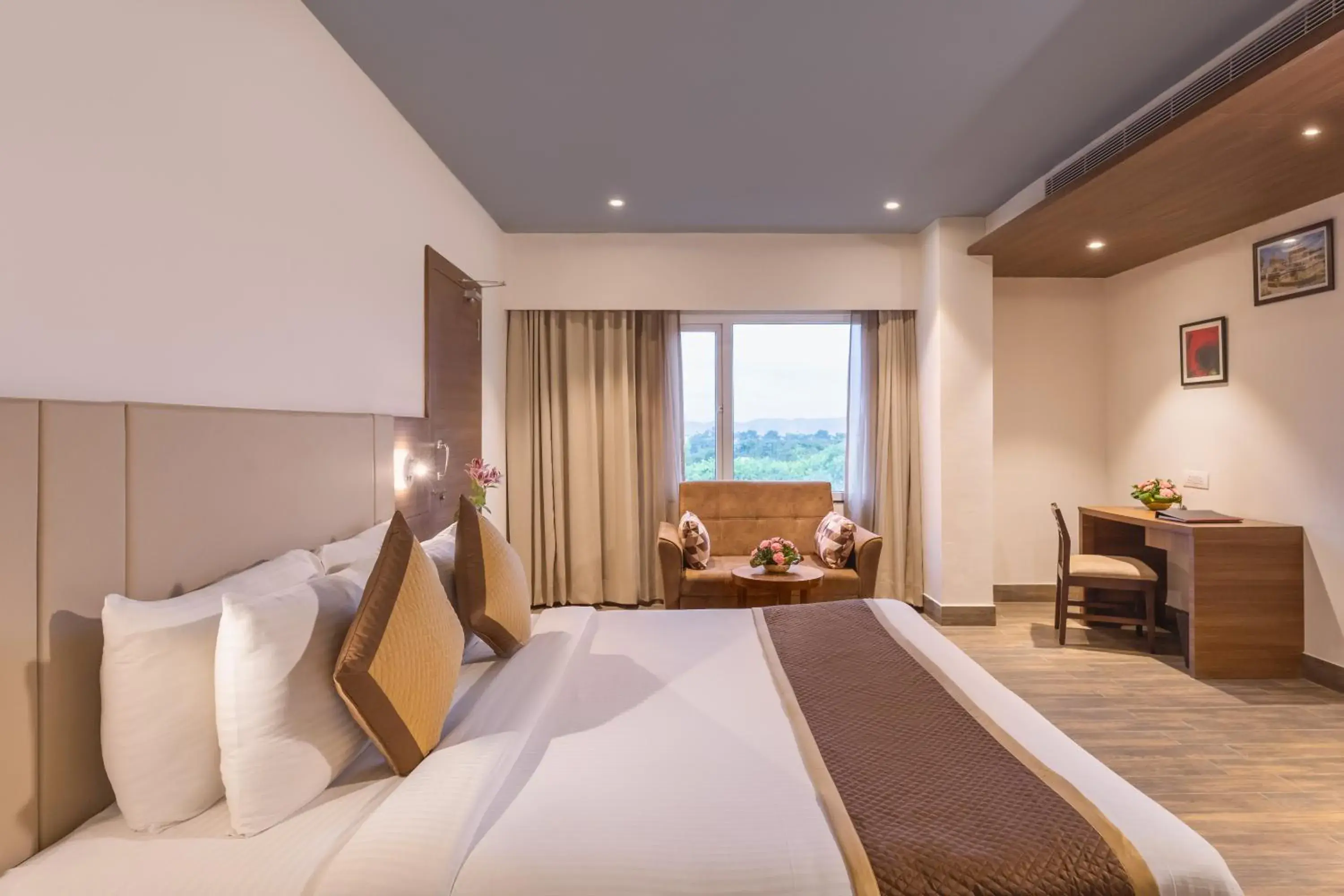 Double Room - single occupancy in Lords Inn Udaipur Double Room - single occupancy in Lords Inn Udaipur