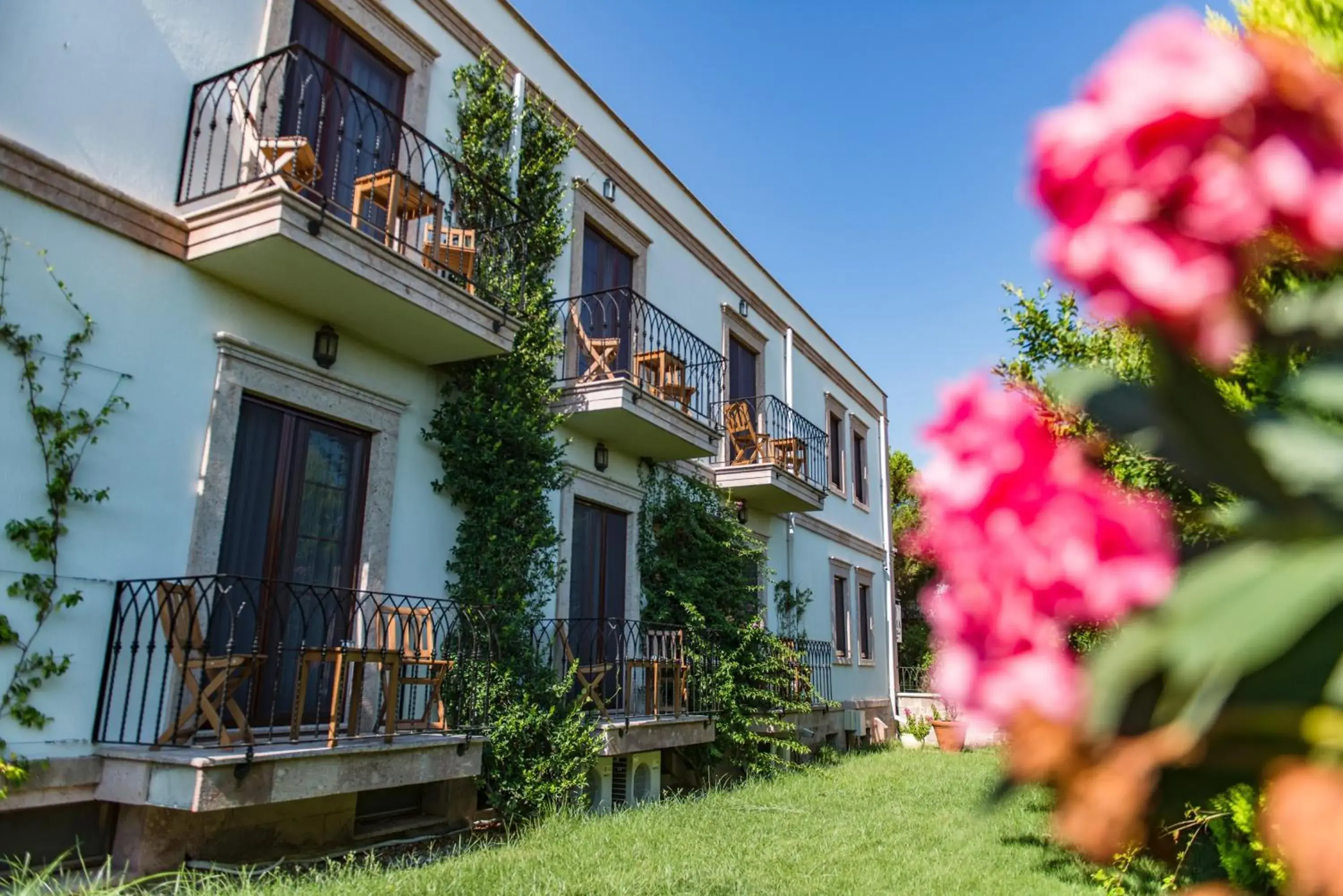 Deluxe Double or Twin Room in Elia Hotel Cunda by Ortunc Deluxe Double or Twin Room in Elia Hotel Cunda by Ortunc