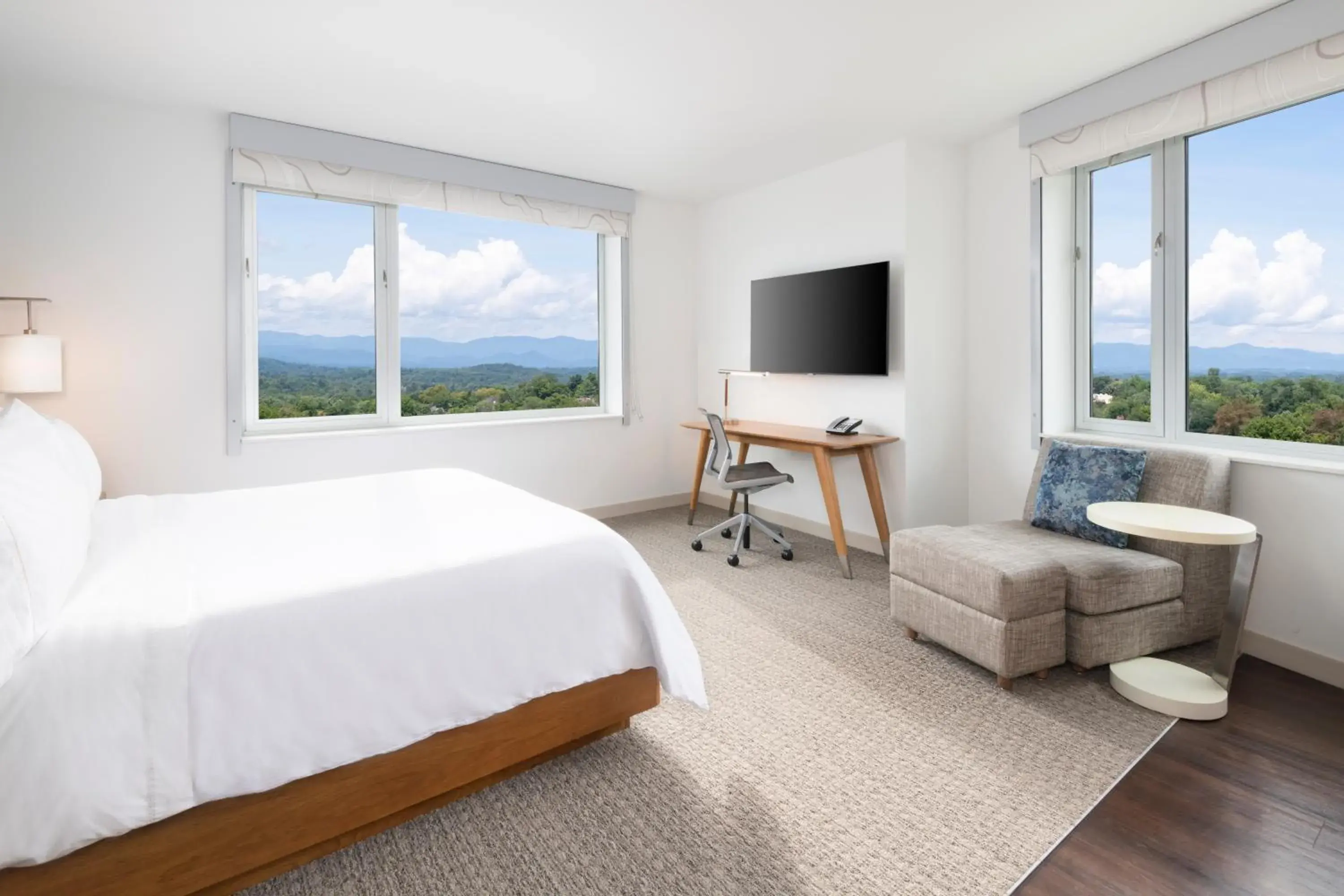 Guest room, 1 King, Mountain view in Element Asheville Downtown Guest room, 1 King, Mountain view in Element Asheville Downtown