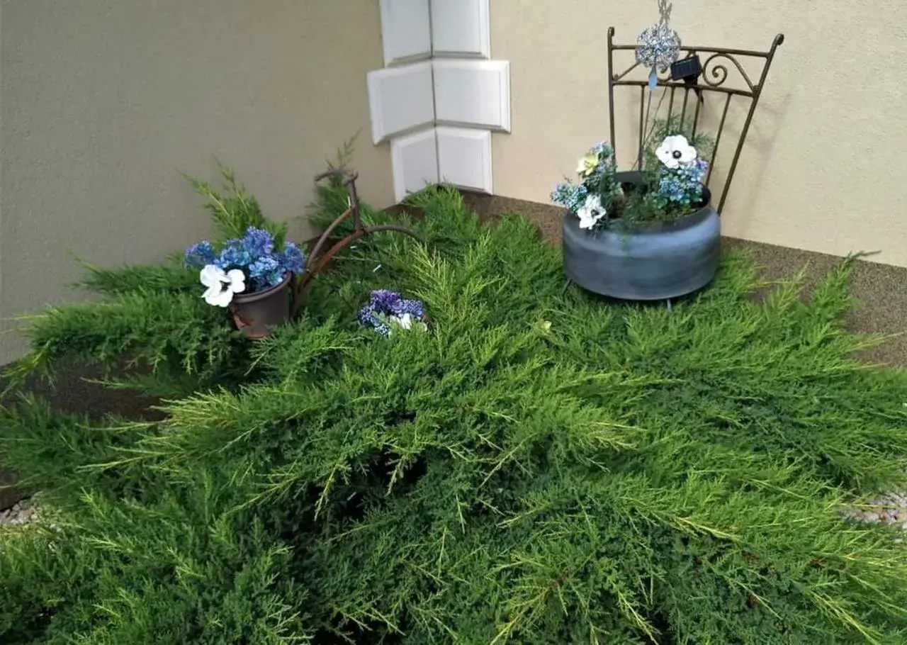 Bokor Vendégház Bokor Vendégház