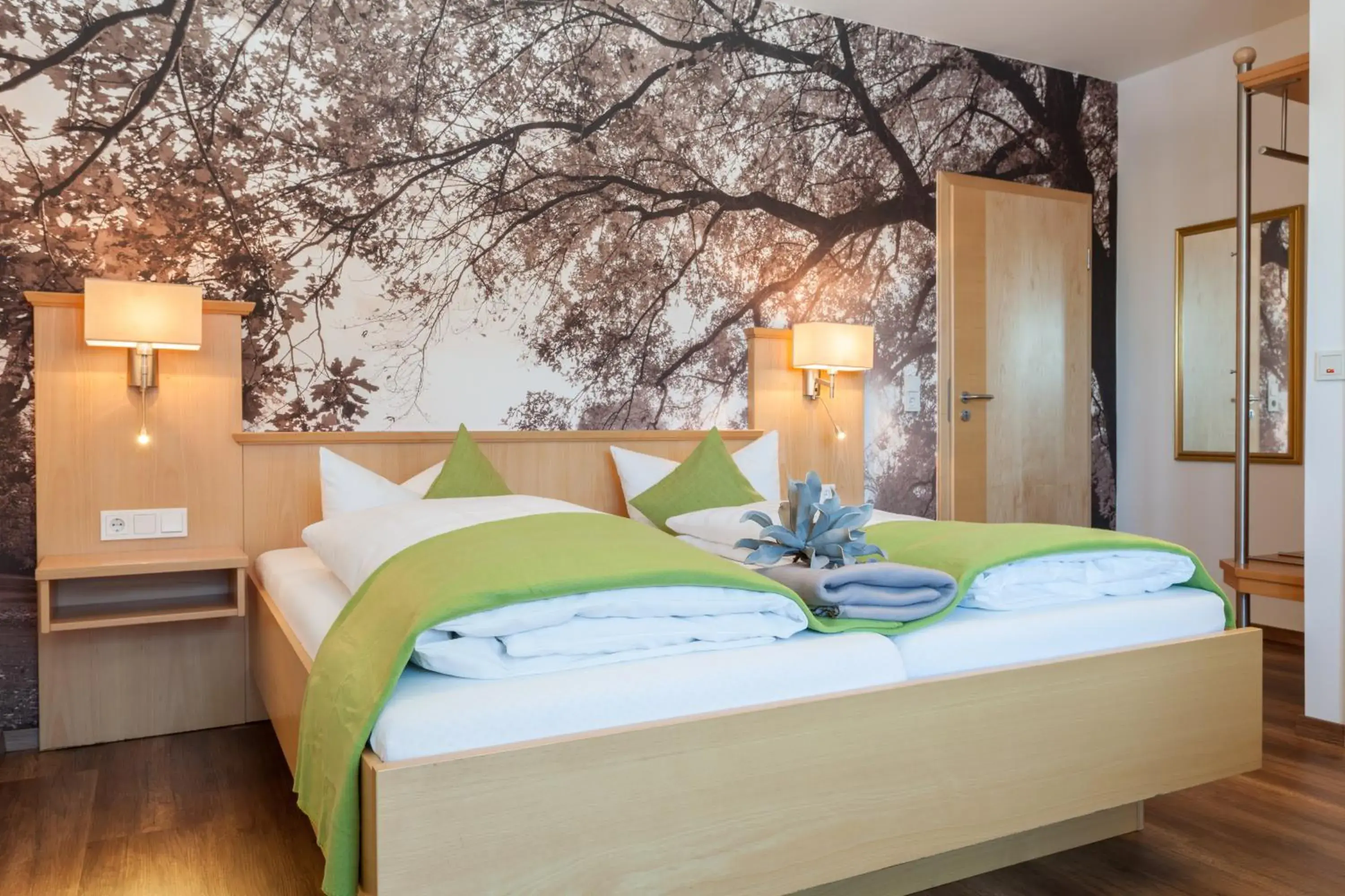 Double Room - single occupancy - Main Building in Hotel Waldhorn Double Room - single occupancy - Main Building in Hotel Waldhorn