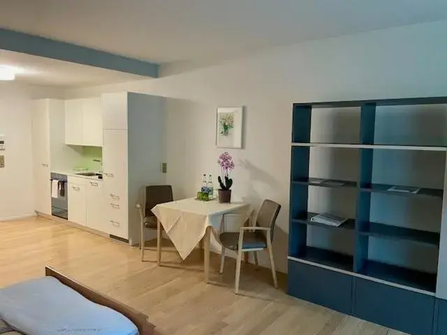 Studio with Terrace in Tertianum Parkresidenz Meilen Studio with Terrace in Tertianum Parkresidenz Meilen