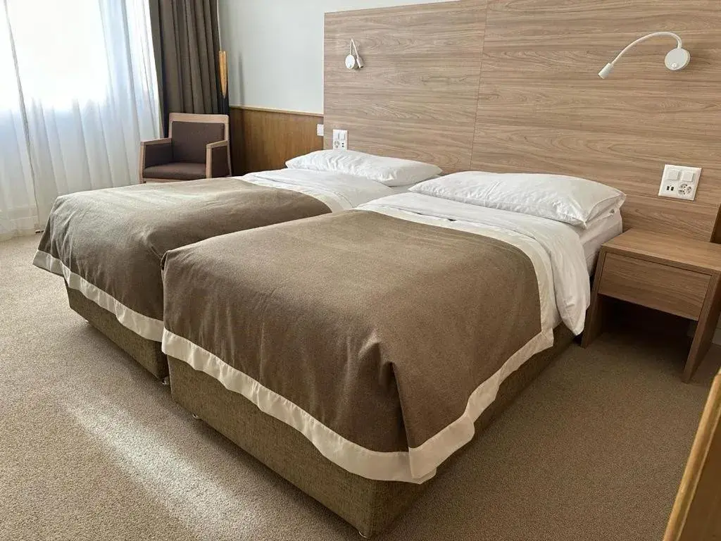 Economy Twin Room in Continental Hotel Lausanne Economy Twin Room in Continental Hotel Lausanne