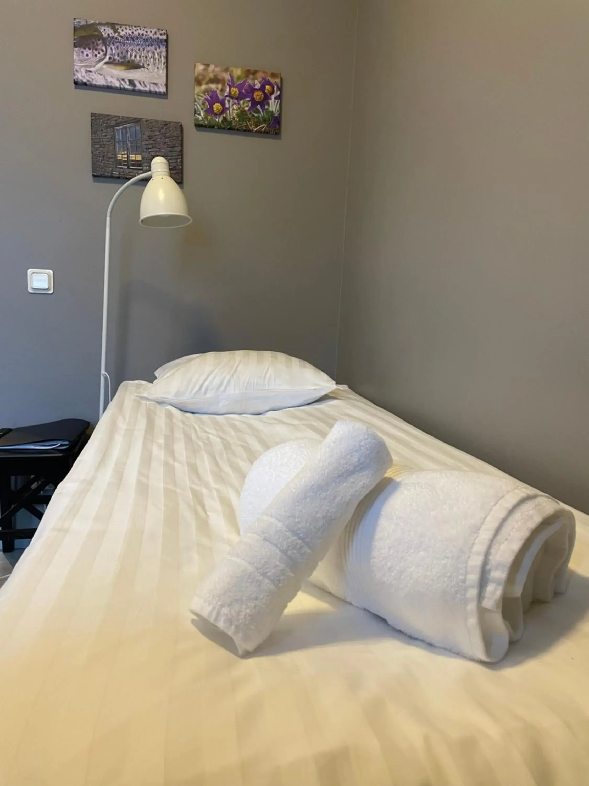 Single Room with Private Bathroom - single occupancy in Broholm Bed&Breakfast Single Room with Private Bathroom - single occupancy in Broholm Bed&Breakfast