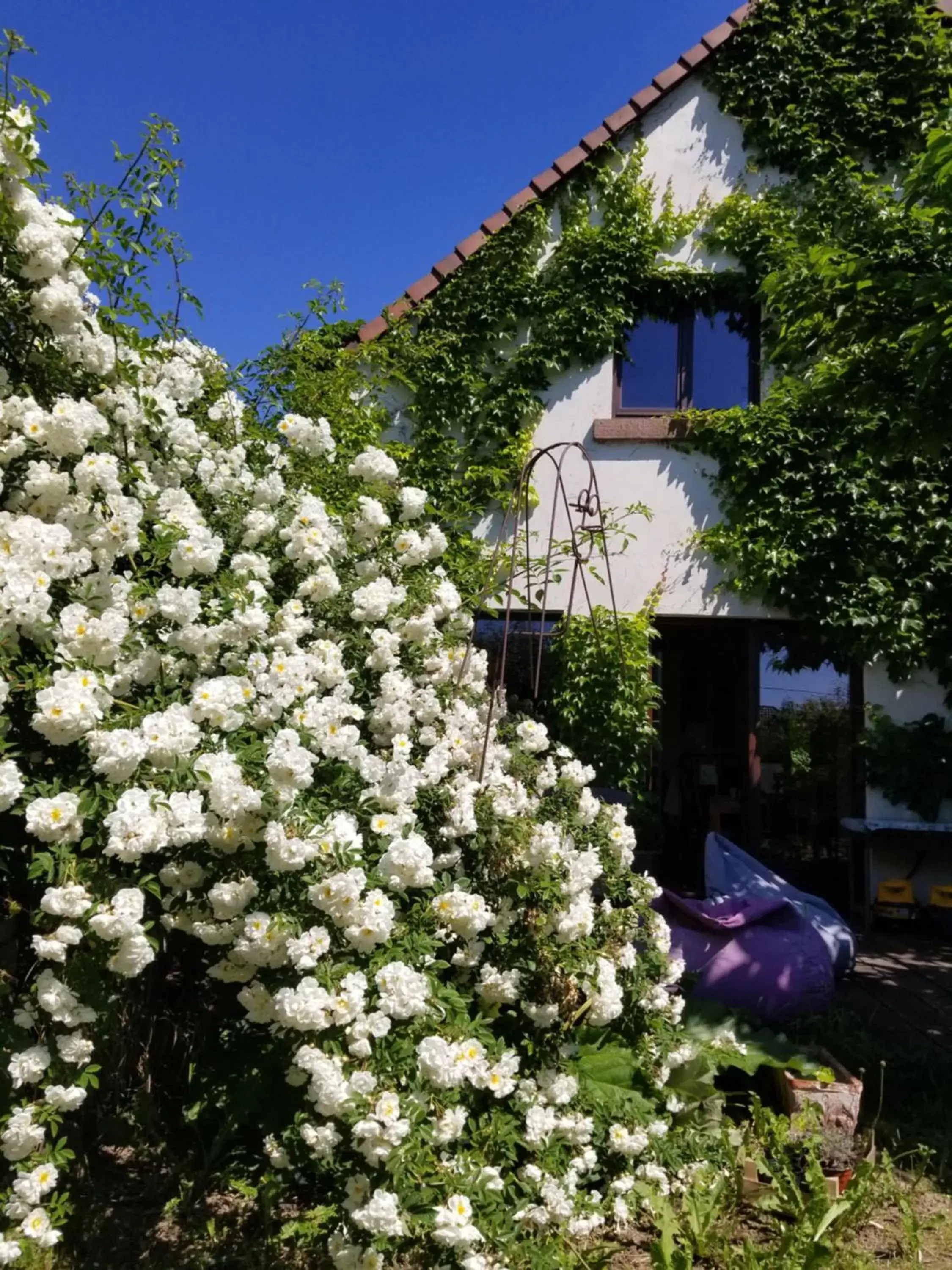 chambre d'hôtes de charme, un temps en forêt chambre d'hôtes de charme, un temps en forêt
