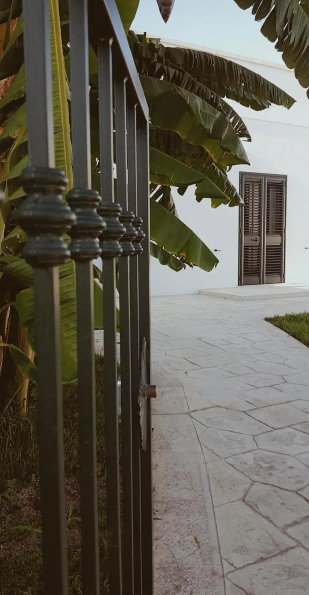 Il Negramaro Il Negramaro