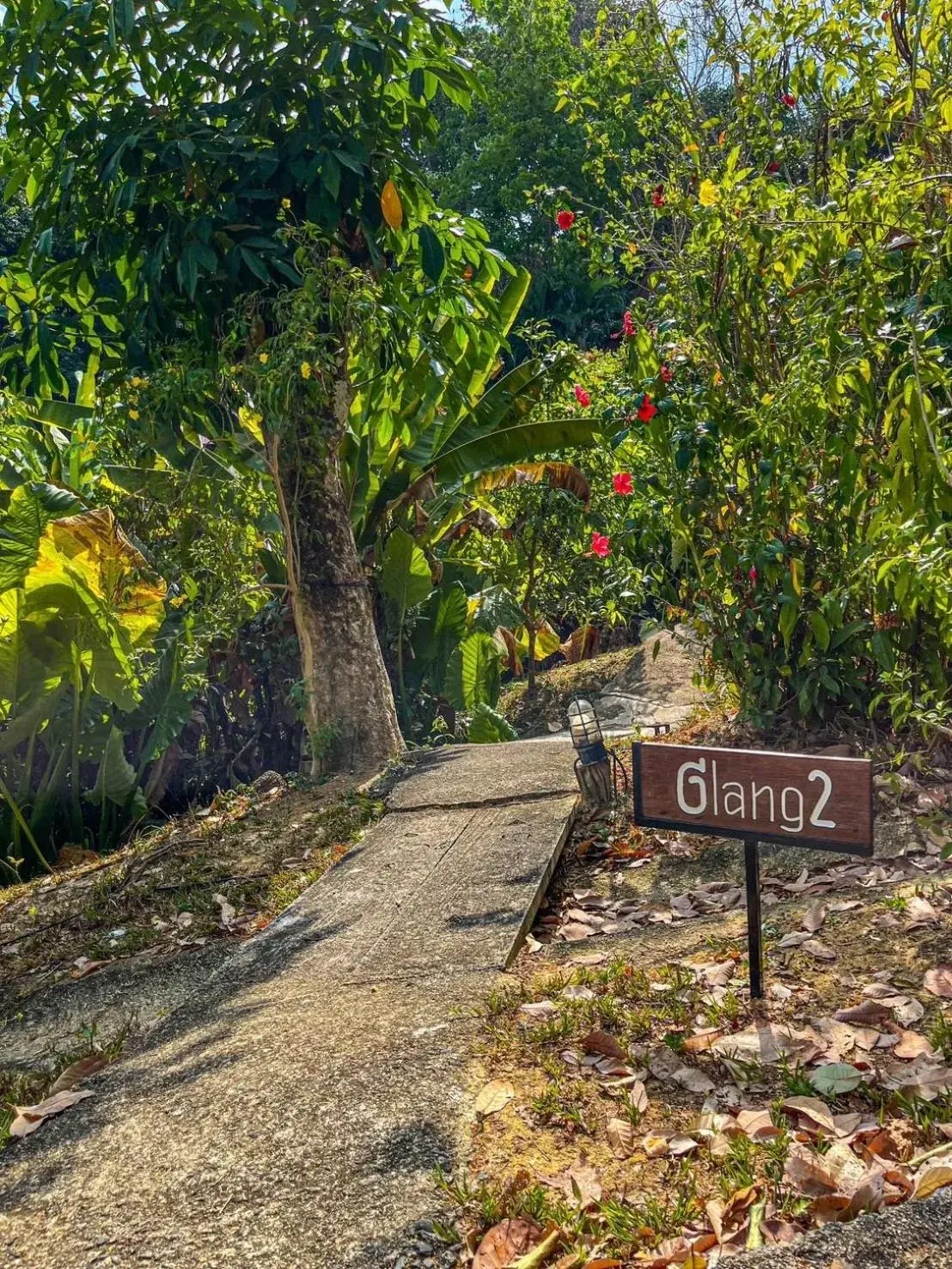 Double Room with Balcony and Sea View in Hillhouse - Koh Yao Noi Double Room with Balcony and Sea View in Hillhouse - Koh Yao Noi
