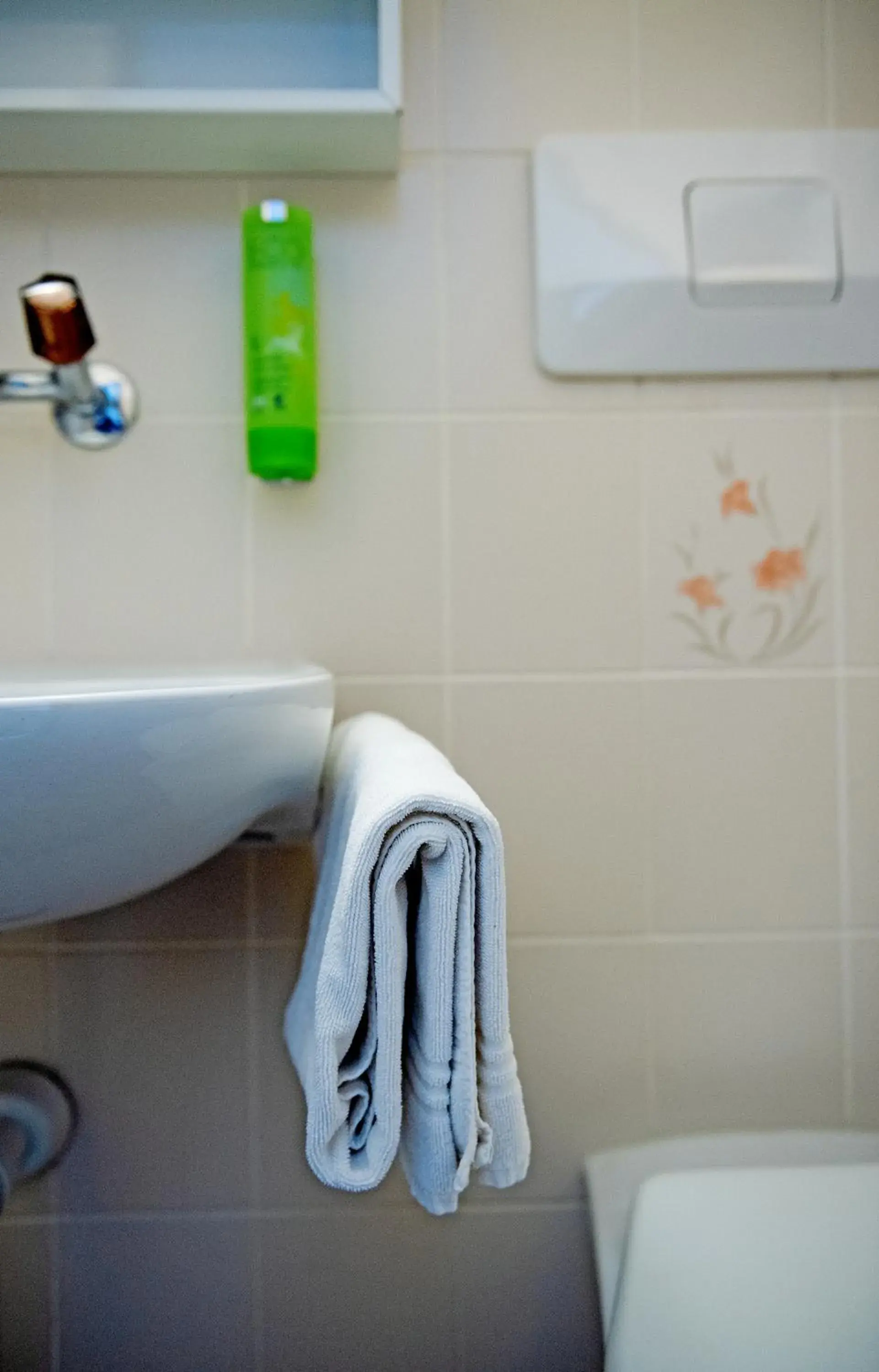 Budget Double or Twin Room in Hotel Sonne Interlaken-Matten Budget Double or Twin Room in Hotel Sonne Interlaken-Matten