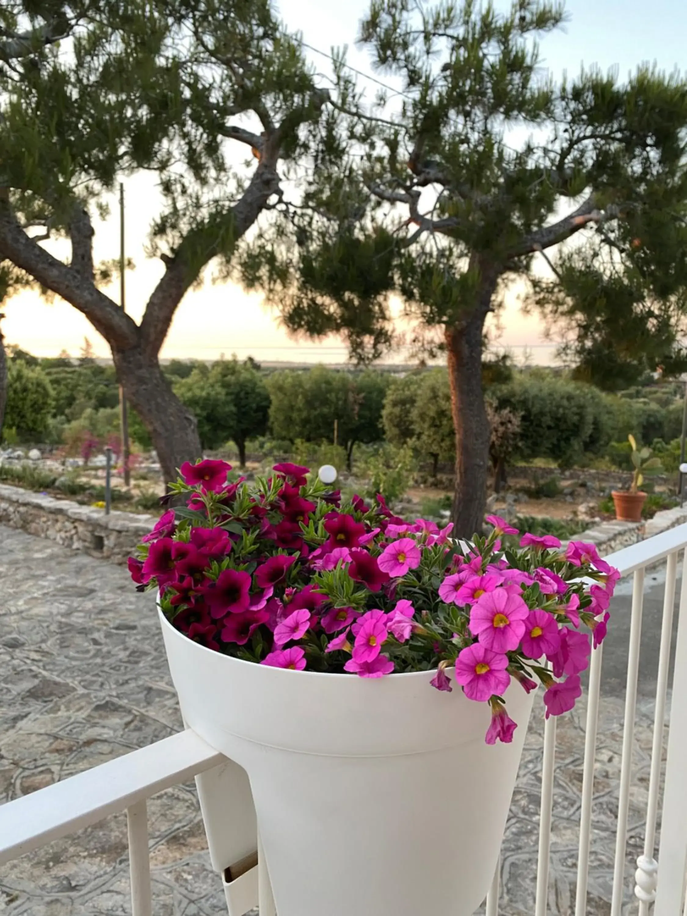 Monte Simeone Monte Simeone