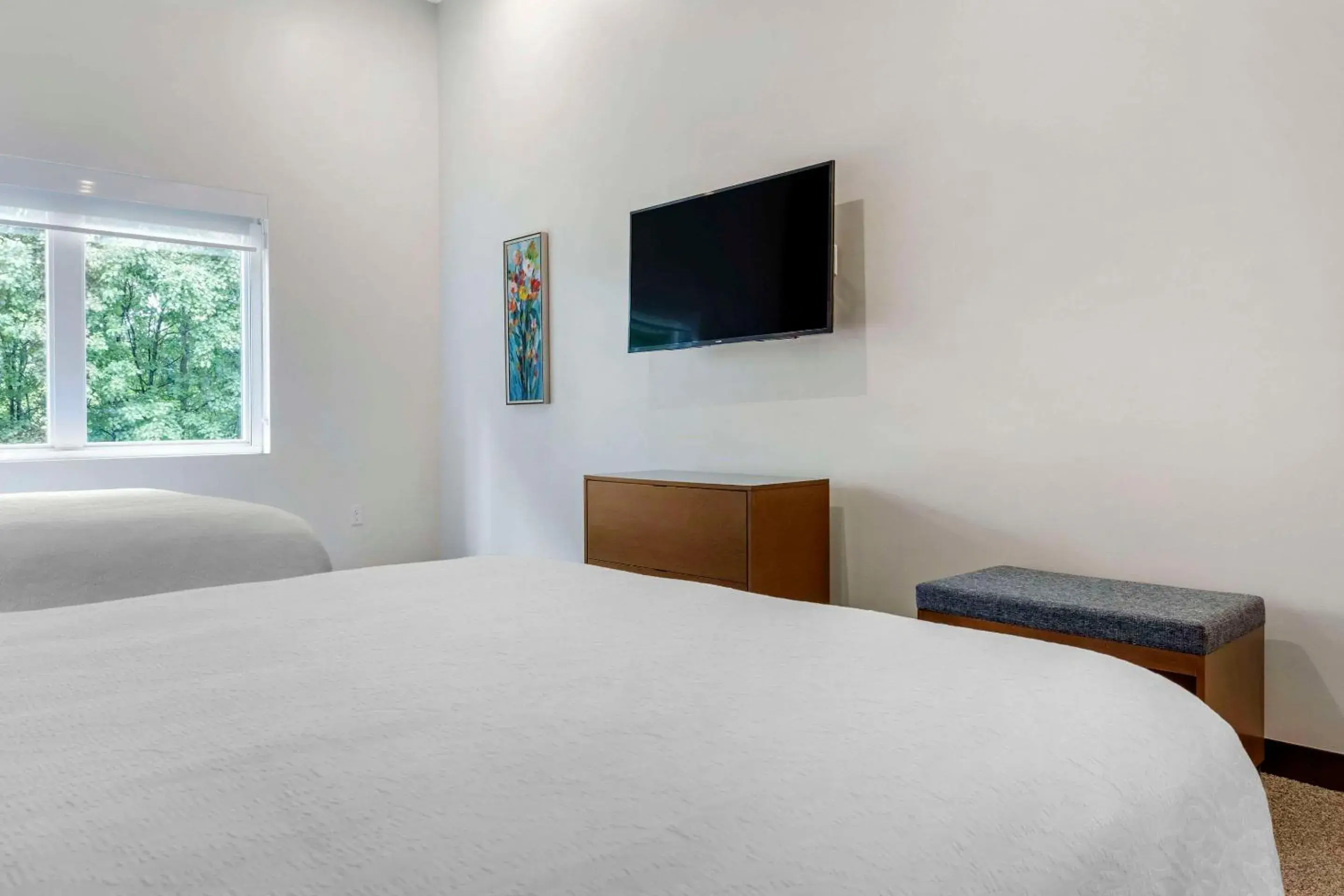 Queen Room with Two Queen Beds - Accessible/Non-Smoking in The Cranberry, an Ascend Collection Hotel Queen Room with Two Queen Beds - Accessible/Non-Smoking in The Cranberry, an Ascend Collection Hotel