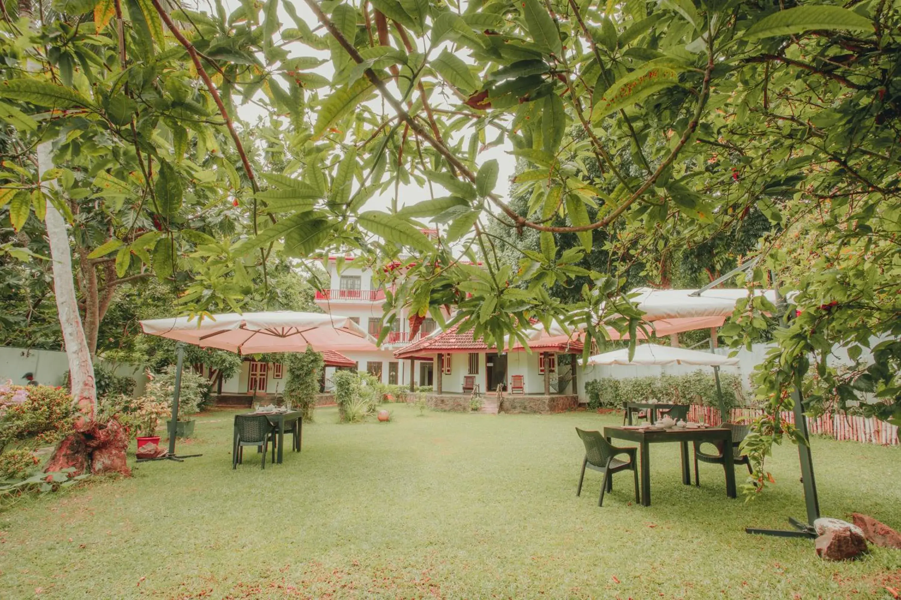 Superior Family Room in Paradise Bungalow Superior Family Room in Paradise Bungalow