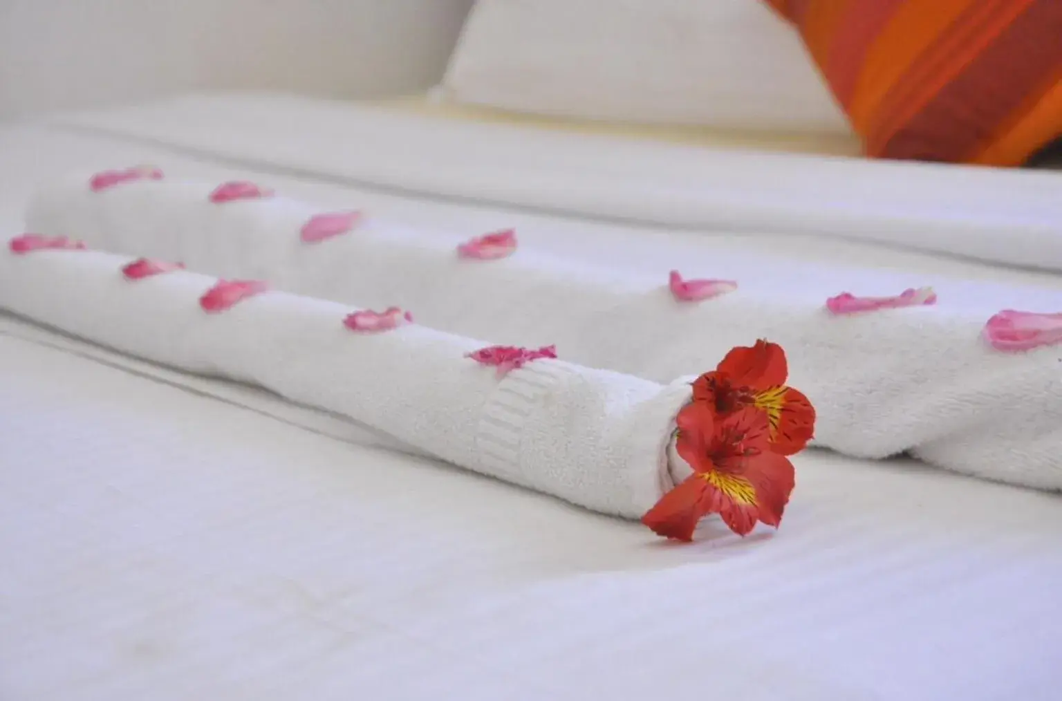 Inroma Holiday Resort Inroma Holiday Resort