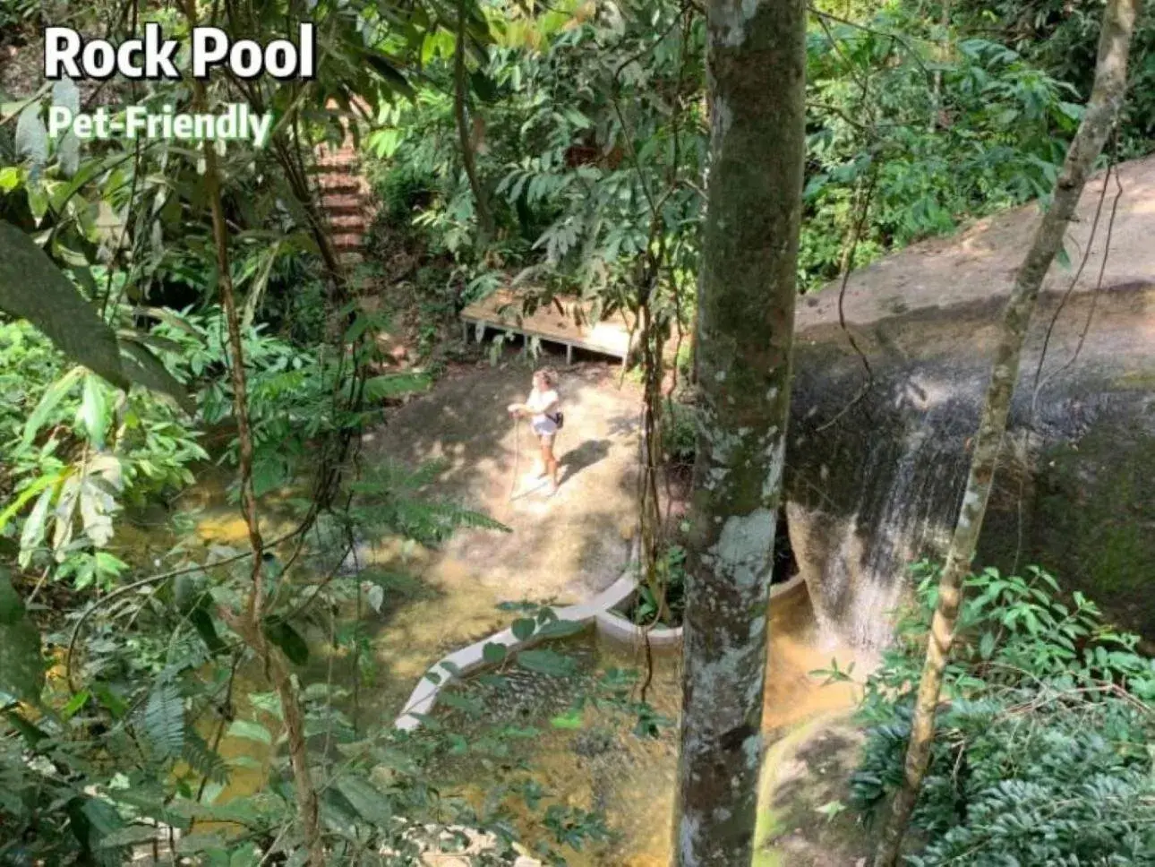 Twin Room with Pool View in Gibbon Retreat Bentong Twin Room with Pool View in Gibbon Retreat Bentong