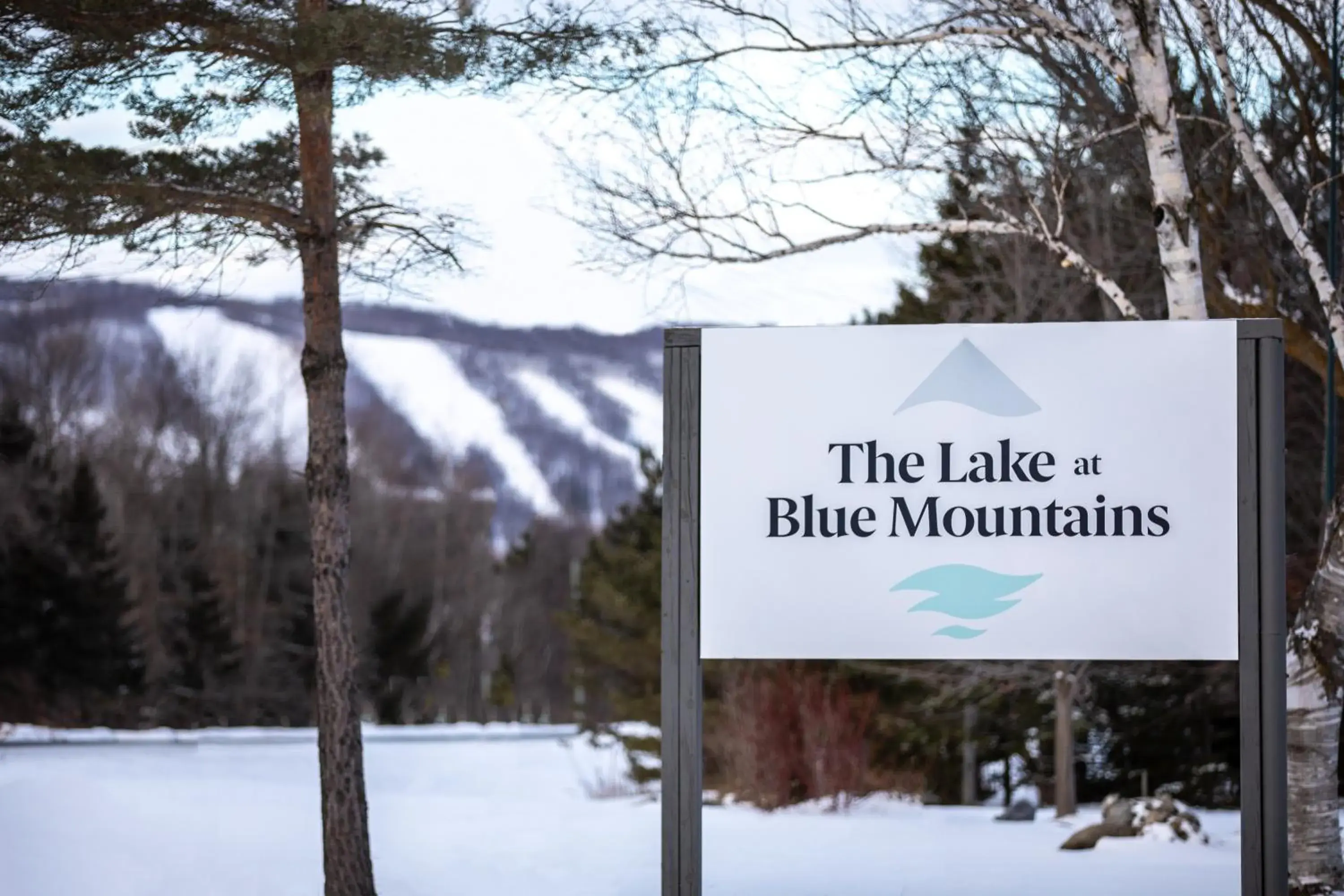 Queen Suite in Boutique Suite #6 Queen Suite in Boutique Suite #6