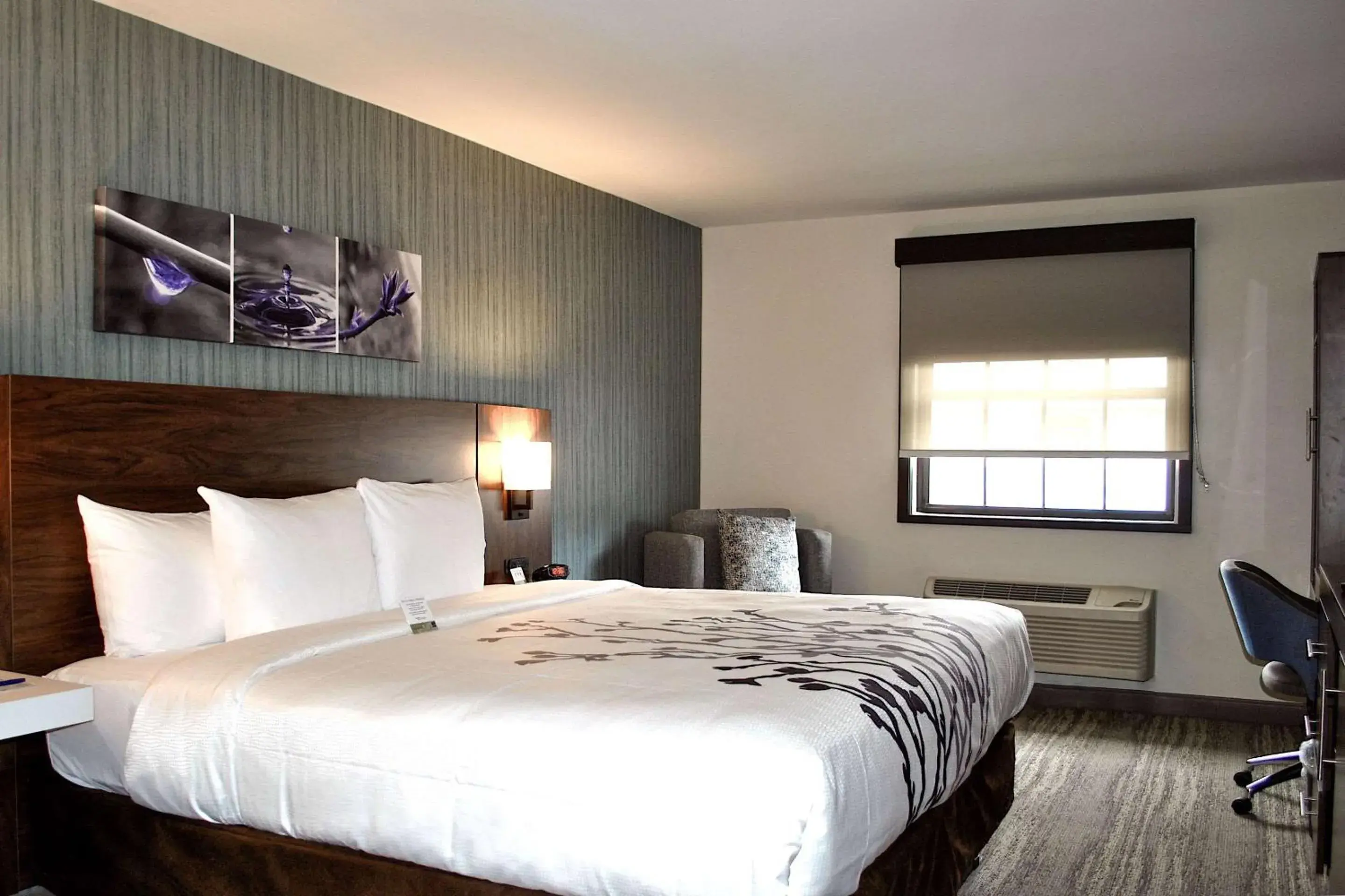 Standard King Room - Non-Smoking in Sleep Inn Oakbrook Terrace - Chicago Standard King Room - Non-Smoking in Sleep Inn Oakbrook Terrace - Chicago