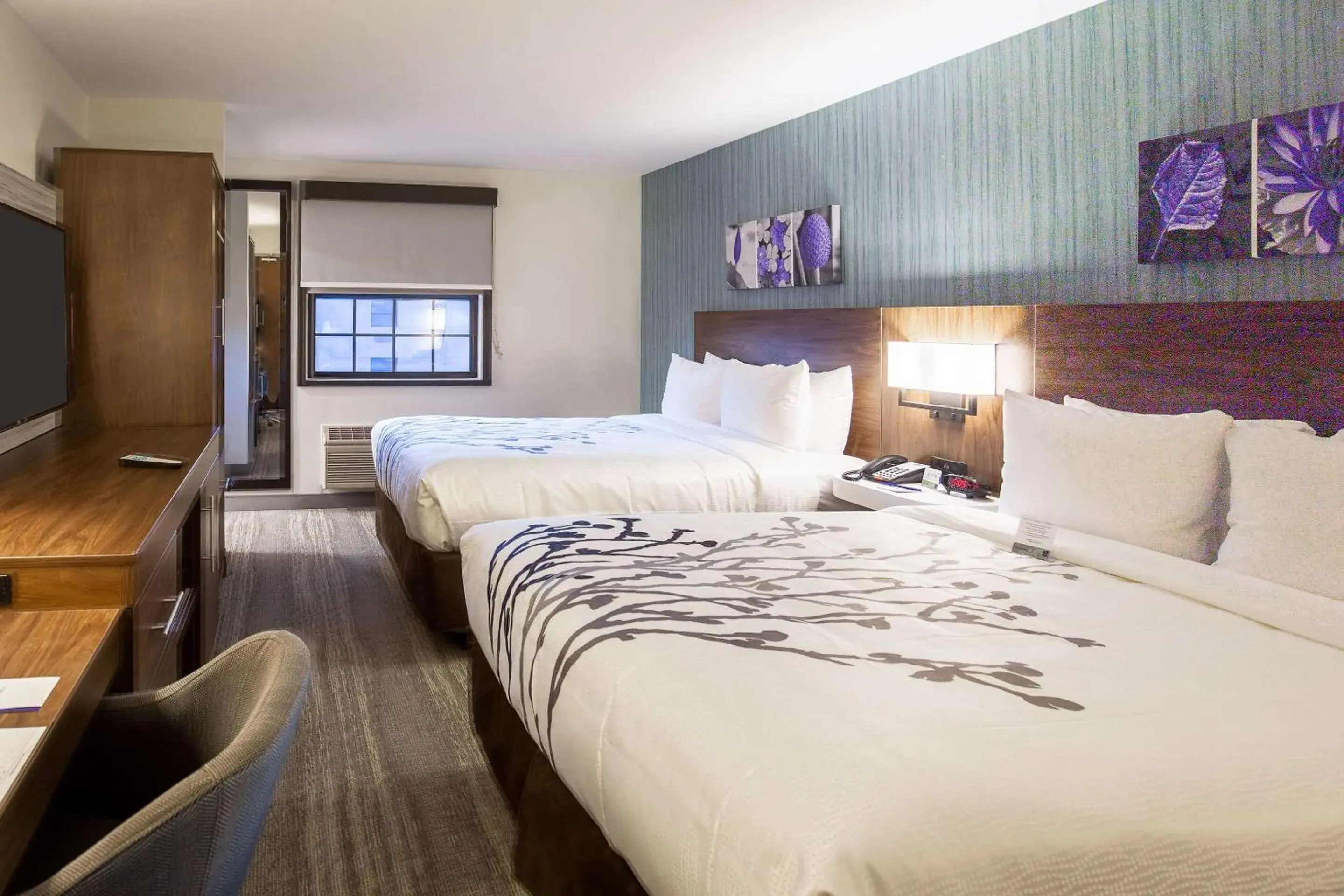 Standard Queen Room with Two Queen Beds - Non-Smoking in Sleep Inn Oakbrook Terrace - Chicago Standard Queen Room with Two Queen Beds - Non-Smoking in Sleep Inn Oakbrook Terrace - Chicago