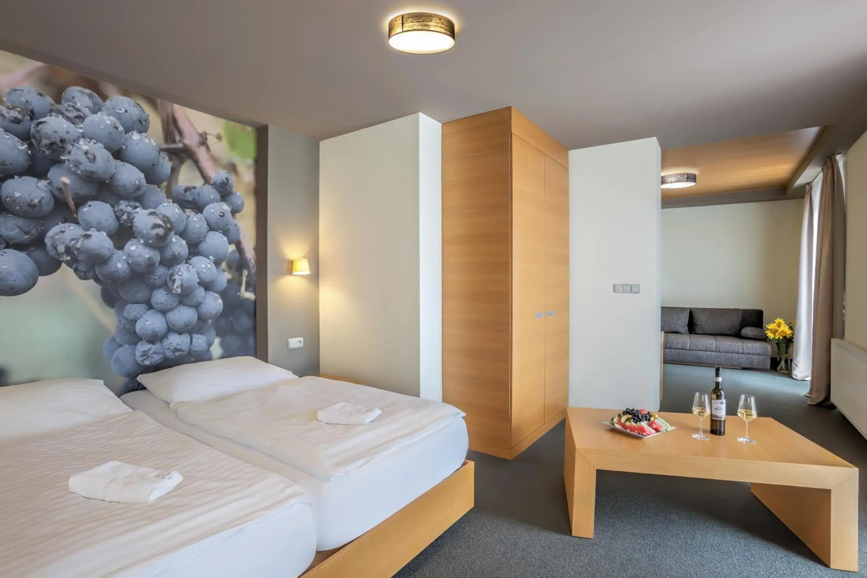 Suite in Hotel Lidový dům Suite in Hotel Lidový dům